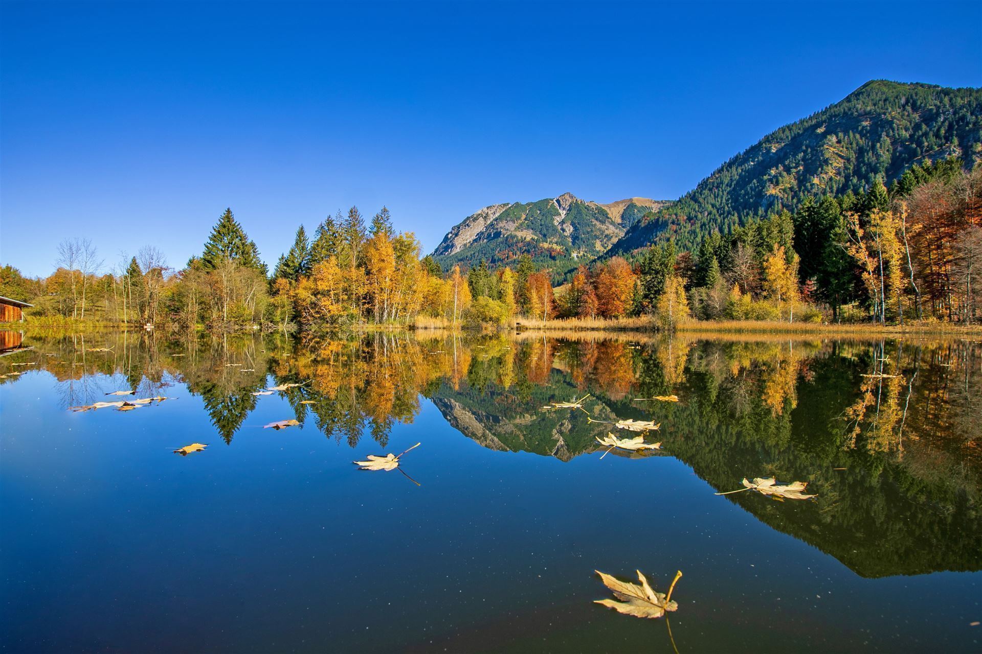 Spiegelung des Sees