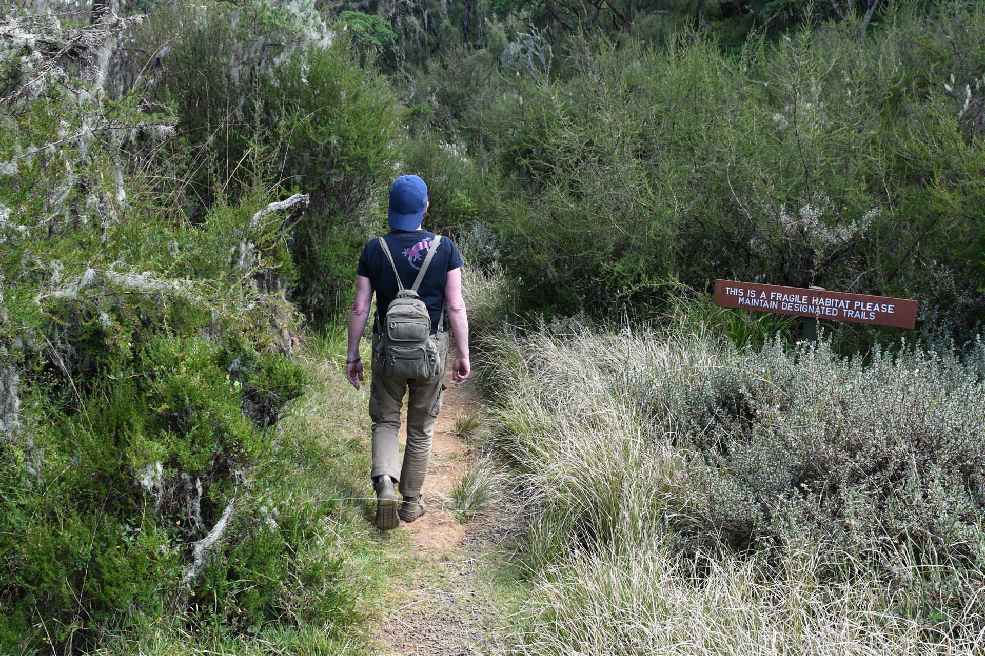 Wanderer durch den Nationalpark