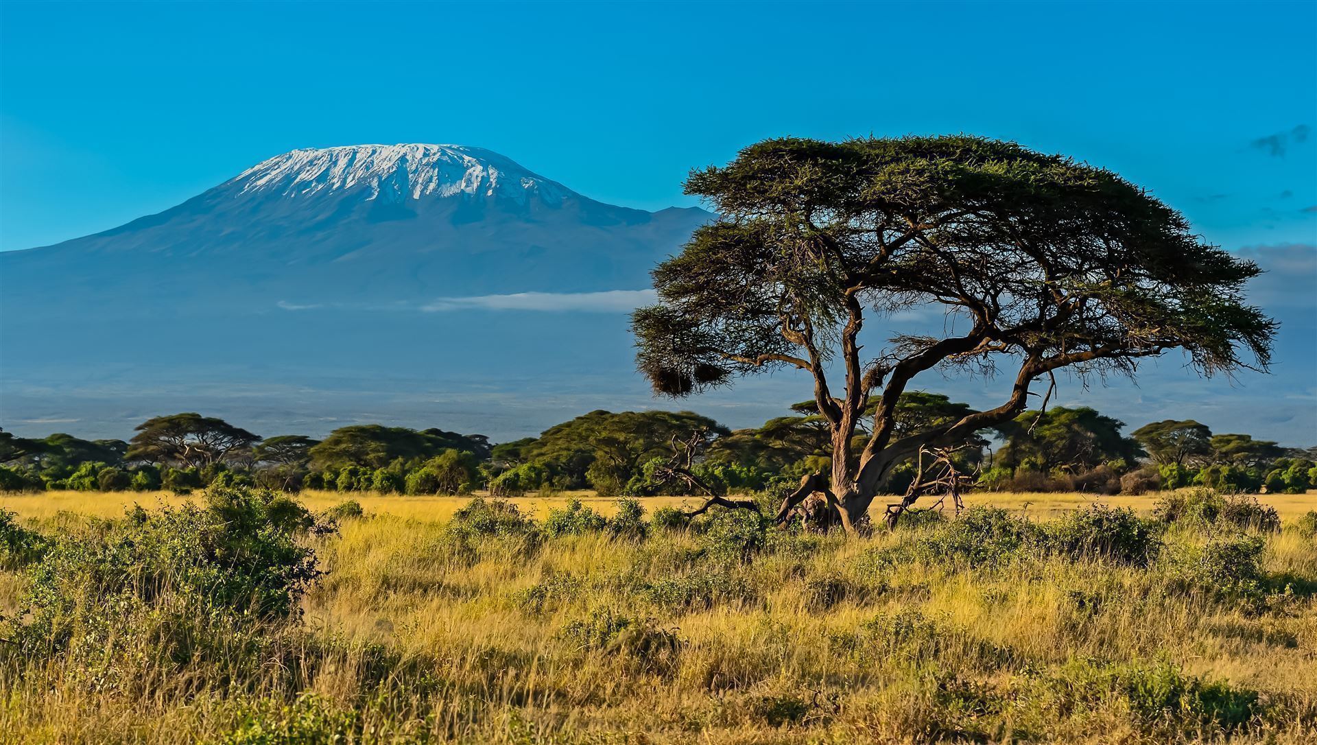 Unendliche Weite des Amboseli National Park