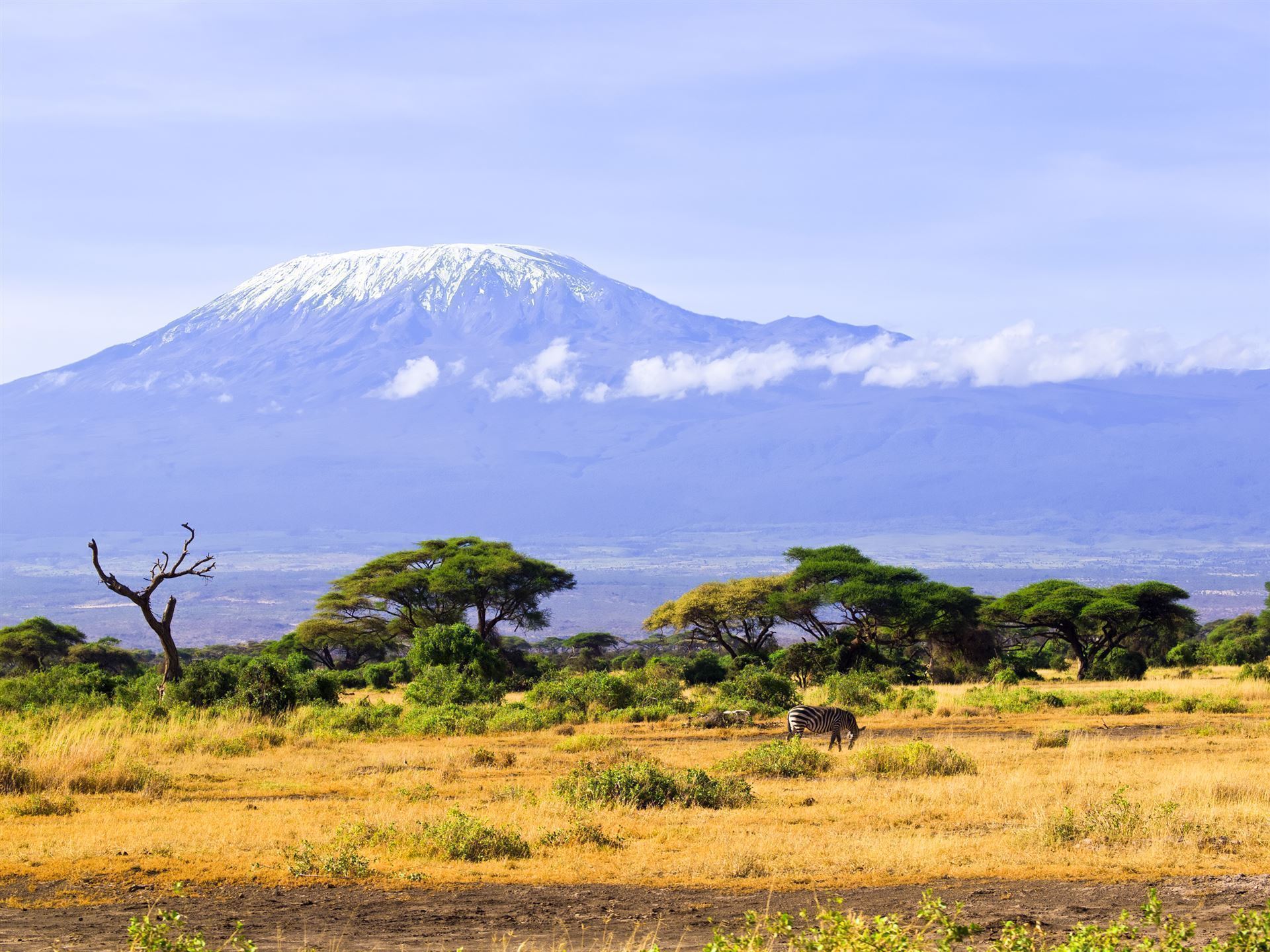Amboseli Nationalpark
