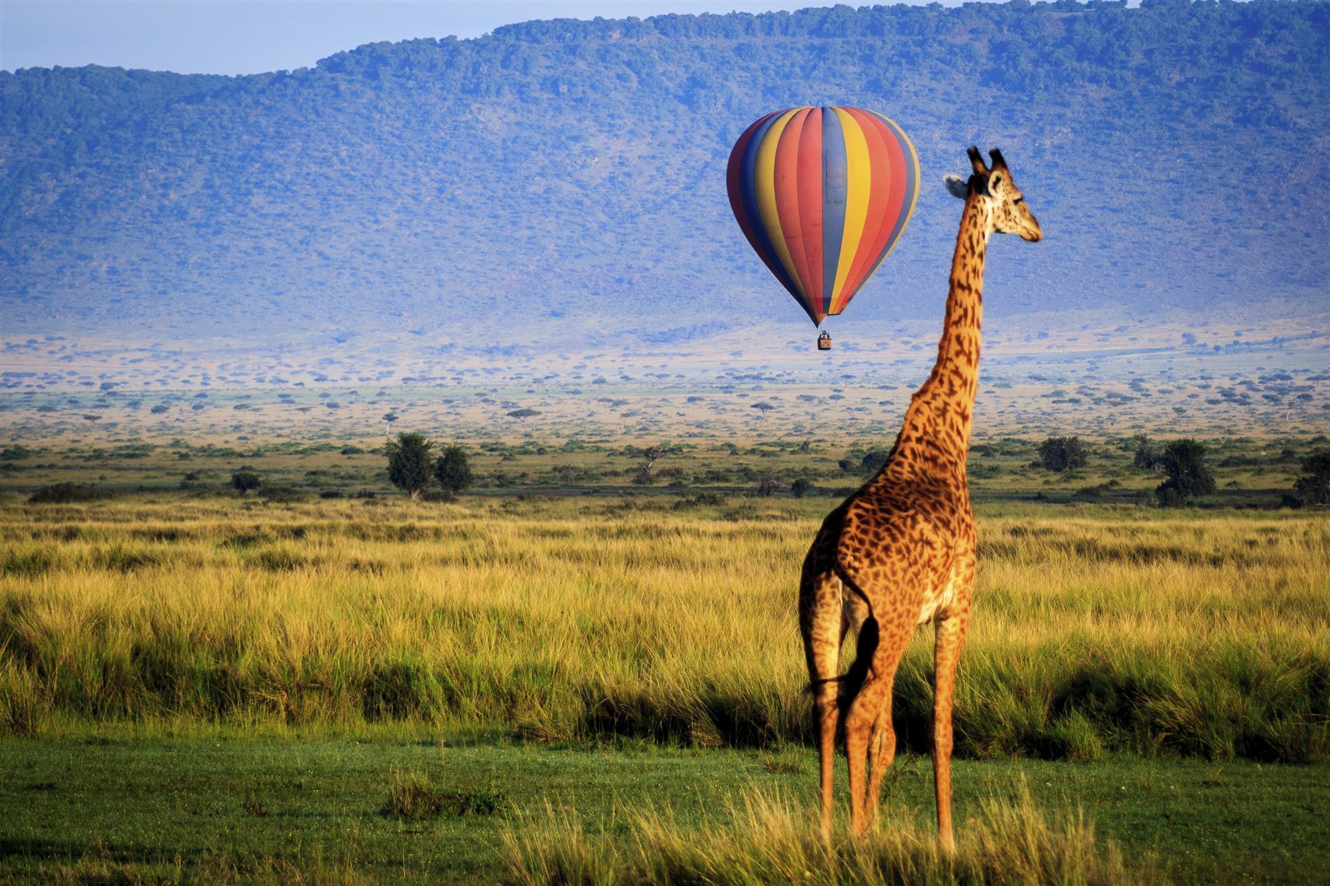 Ballonfahrt in Masai Mara
