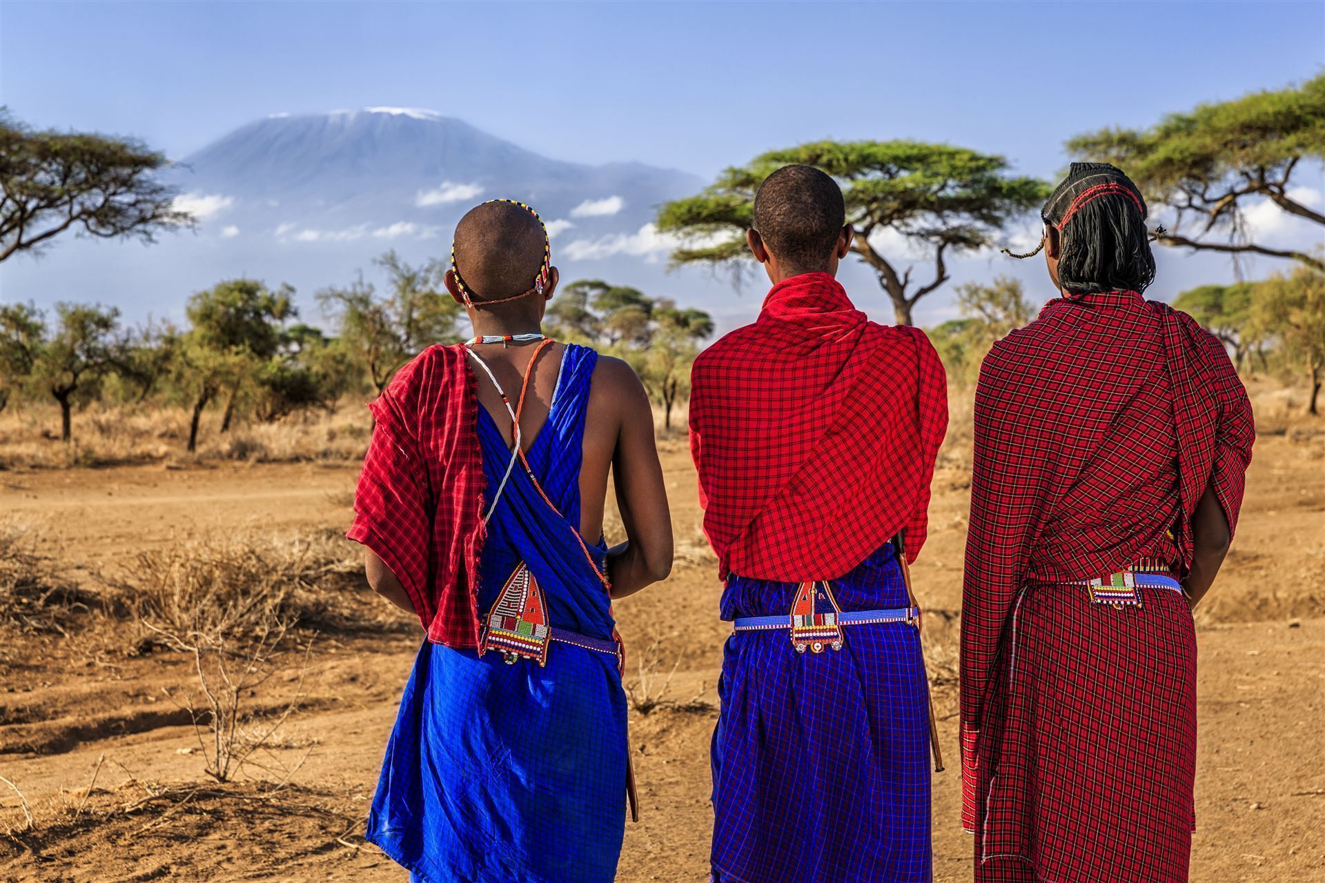 Masais blicken auf den Kilimanjaro