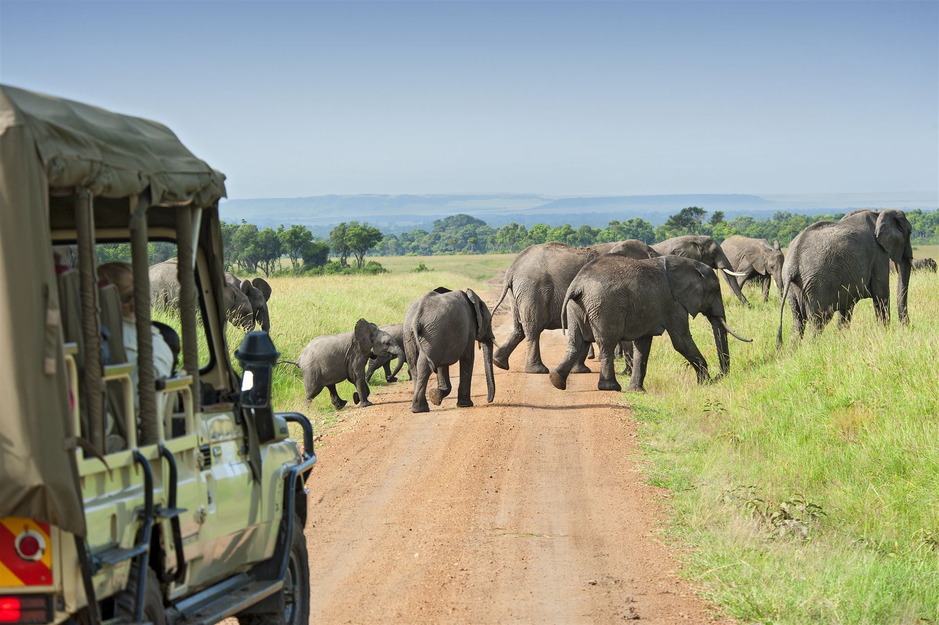 Safari im Masai Mara Nationalpark