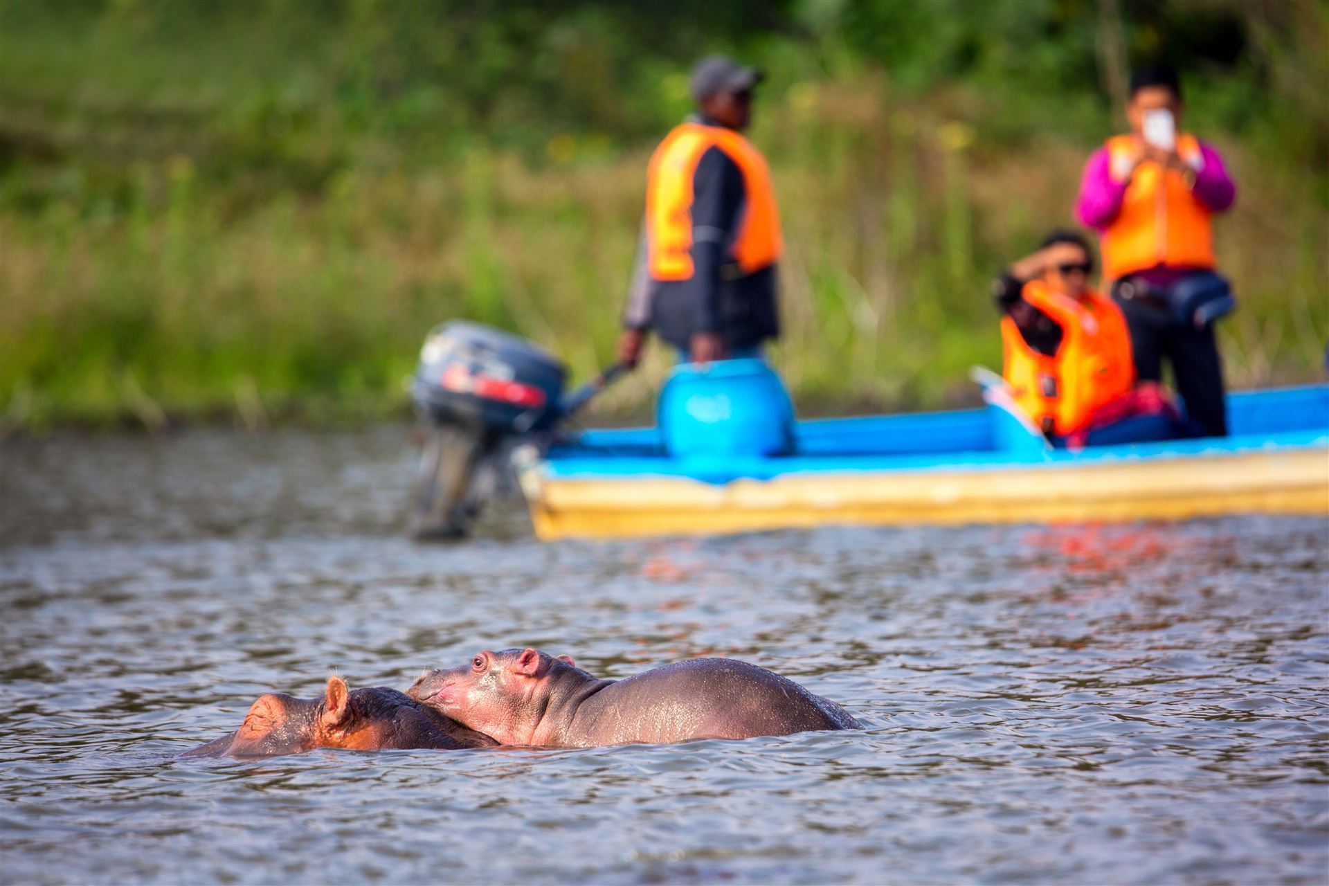 Bootssafari