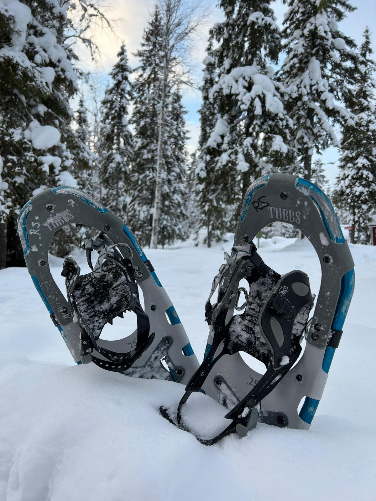 Schneeschuhwanderung in Lappland