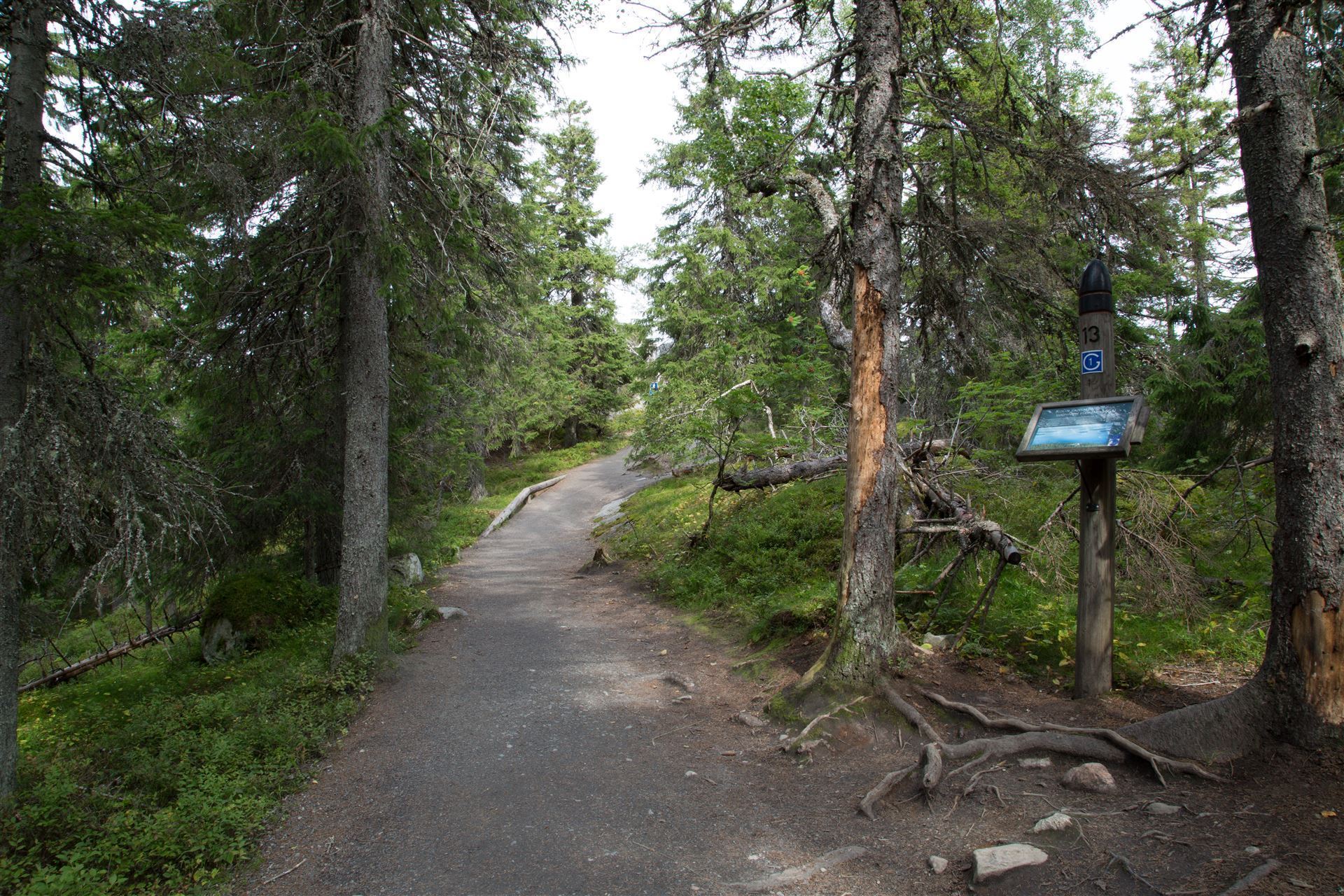 Pfad hinauf zum Berg Koli, Finnland