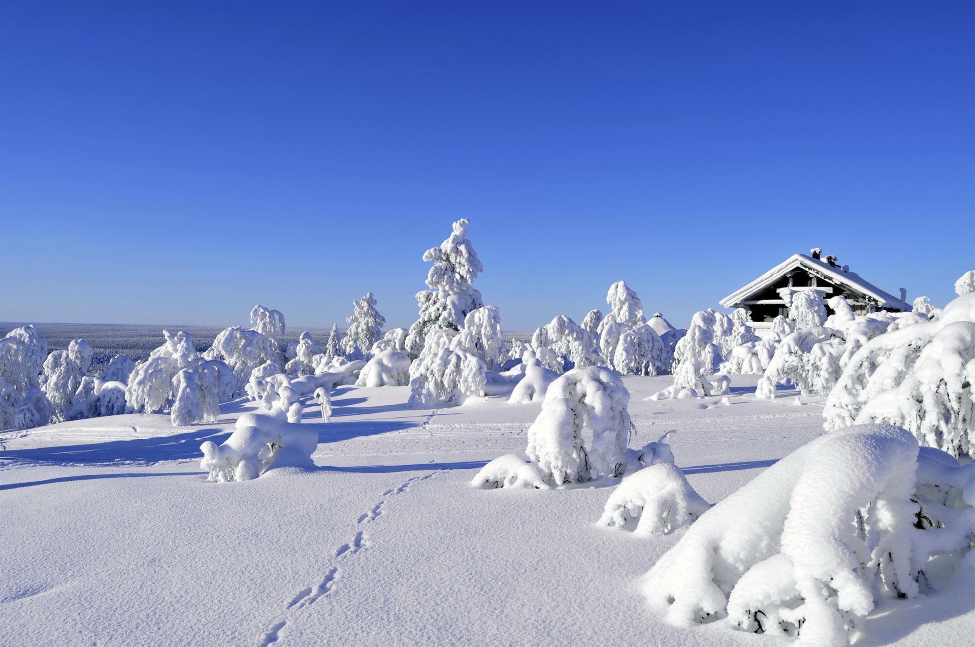 Hütte in der arktischen Wildnis