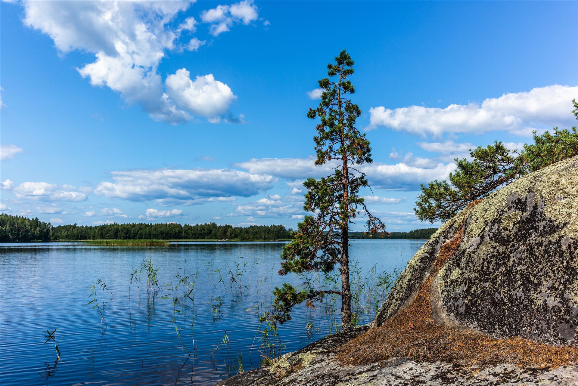 Linnansaari Park mit Felsen