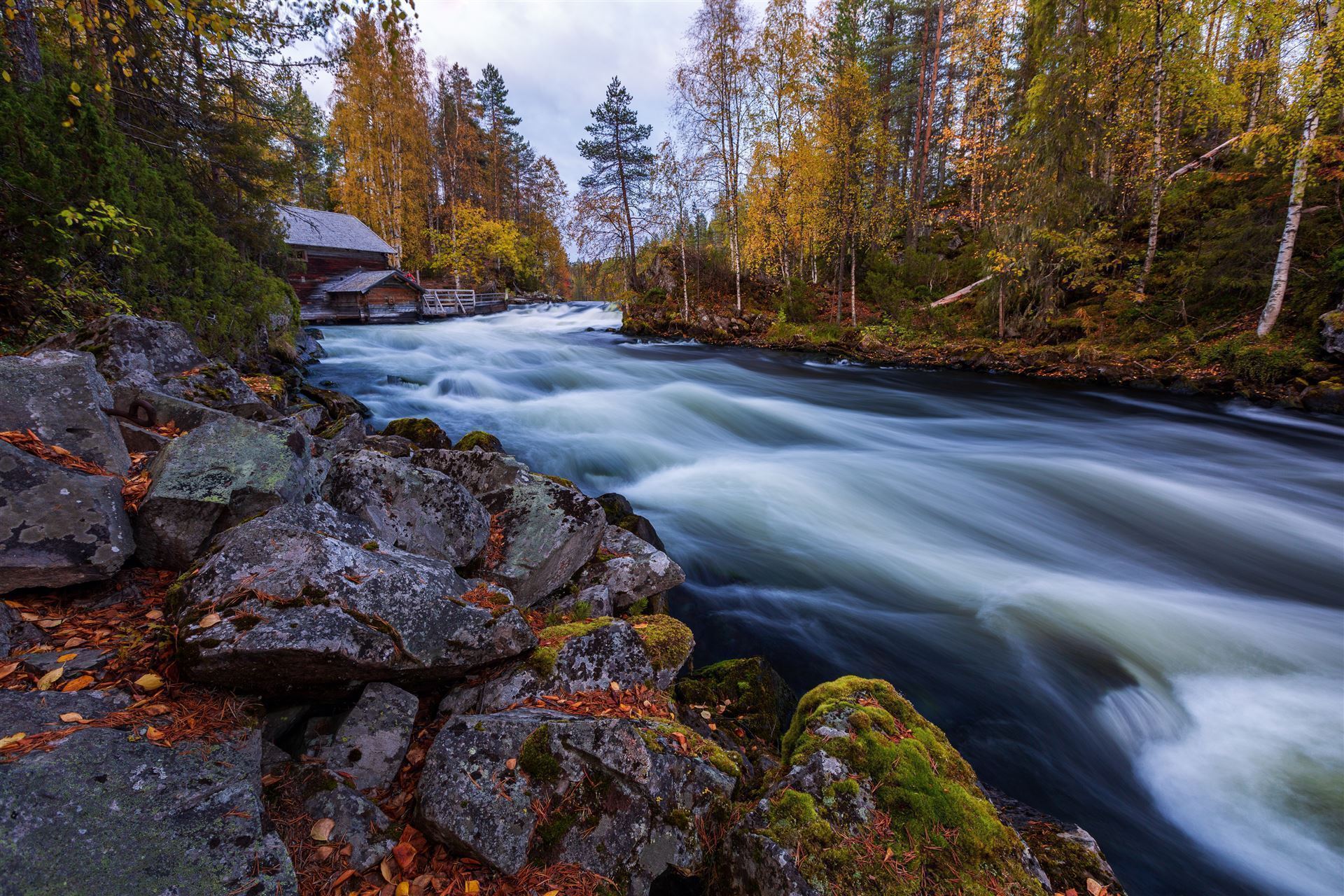 Fluss mit Stromschnellen, Oulanka Nationalpark