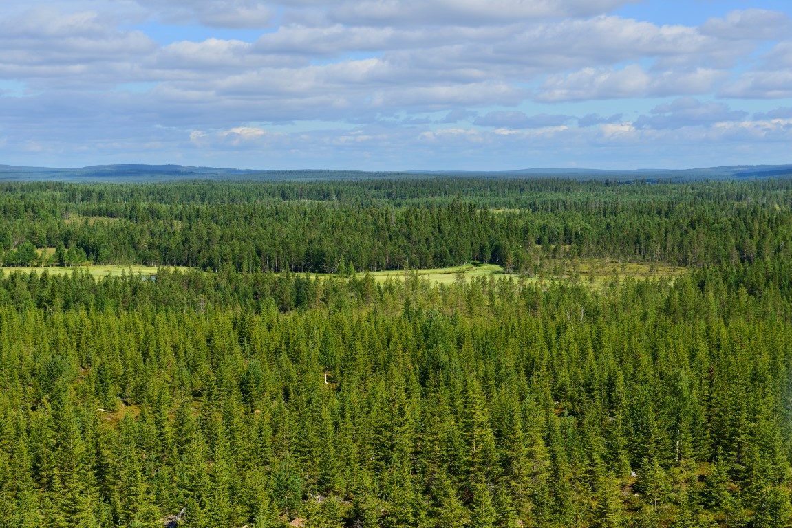 Taivalkoski Endlose Wälder im Norden