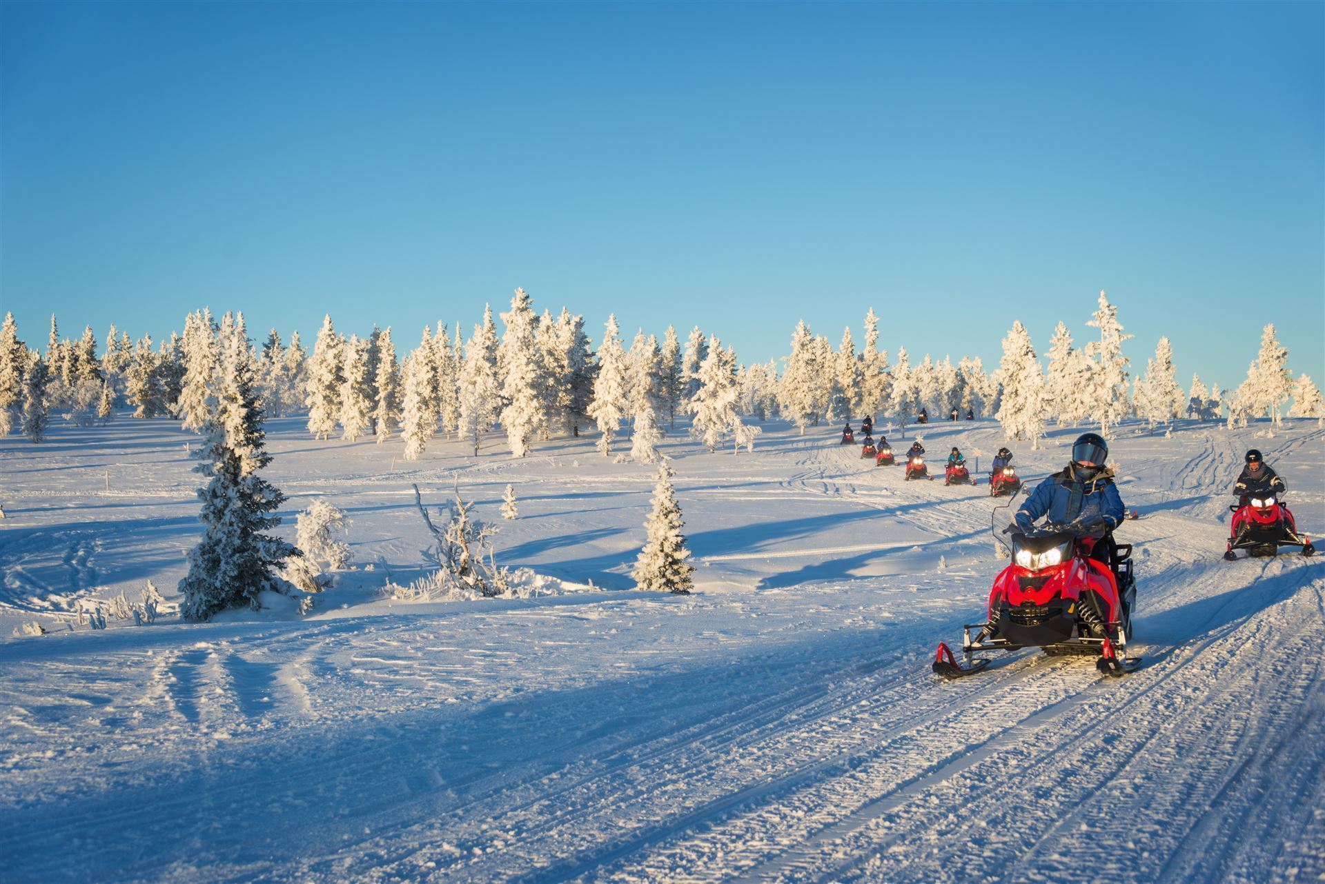 Motorschlittenfahrt in Lappland