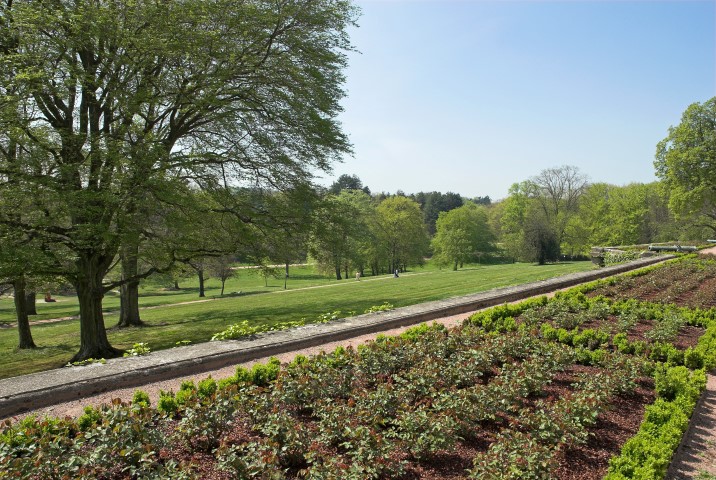 Arboretum, Park, Schloss La Verrerie, Le Creusot, 71
