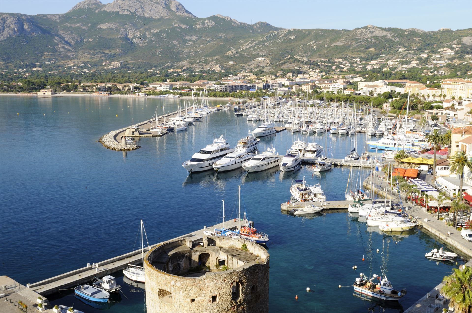 Calvi