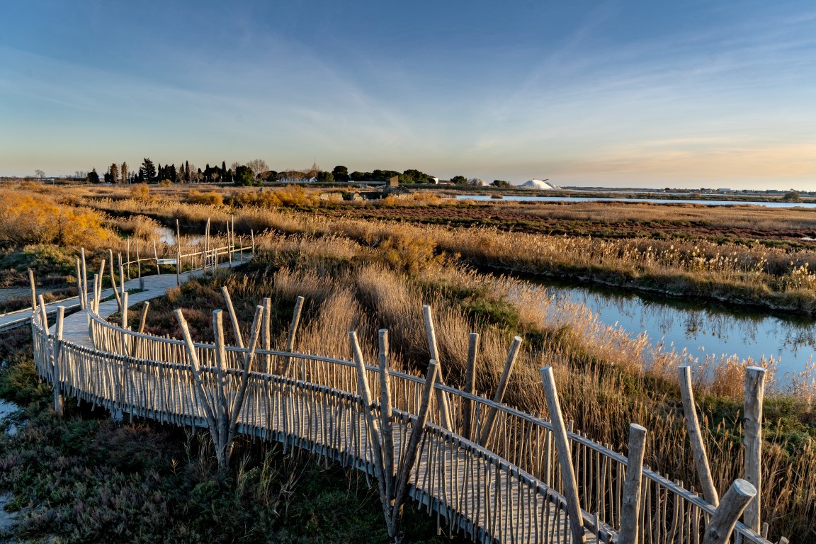 Winter in der Camargue