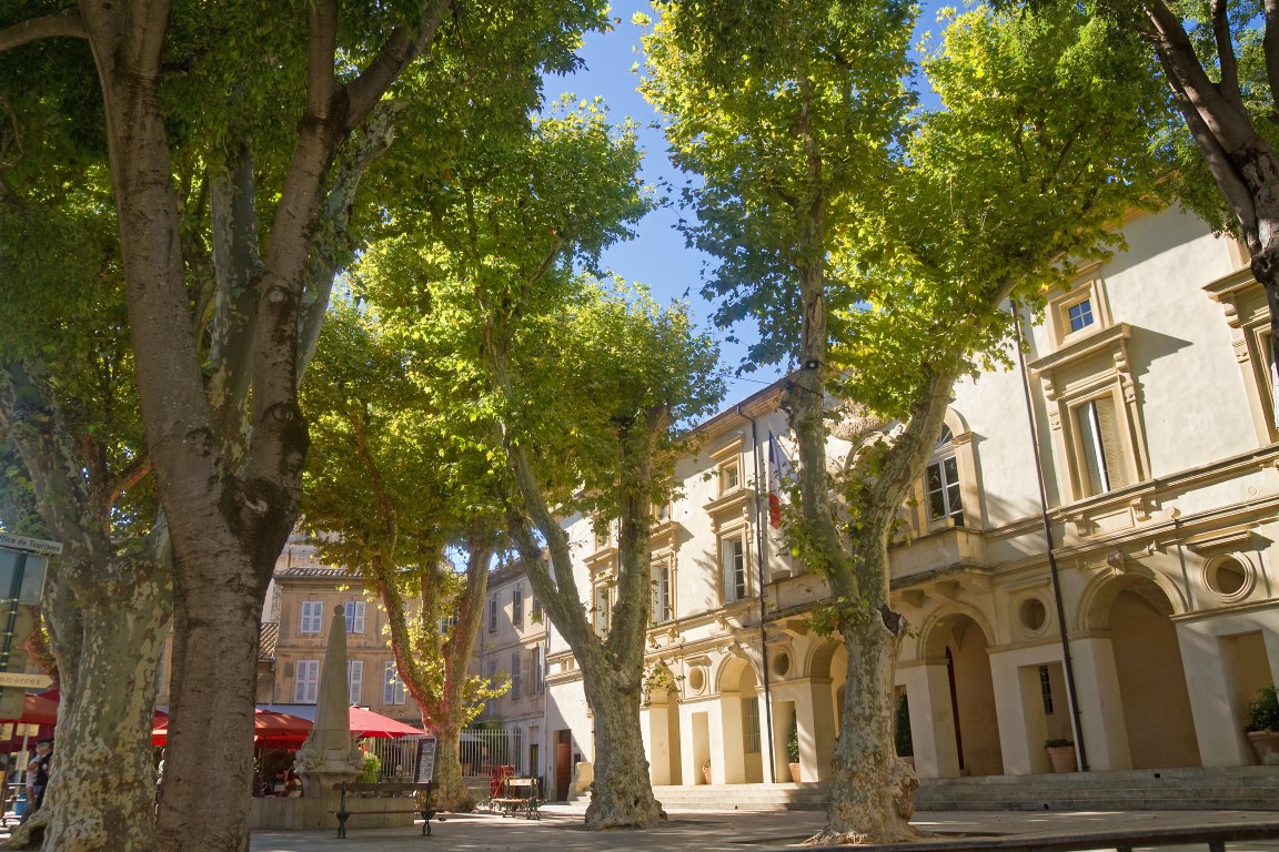 Nostradamus-Brunnen in Saint-Rémy-de-Provence