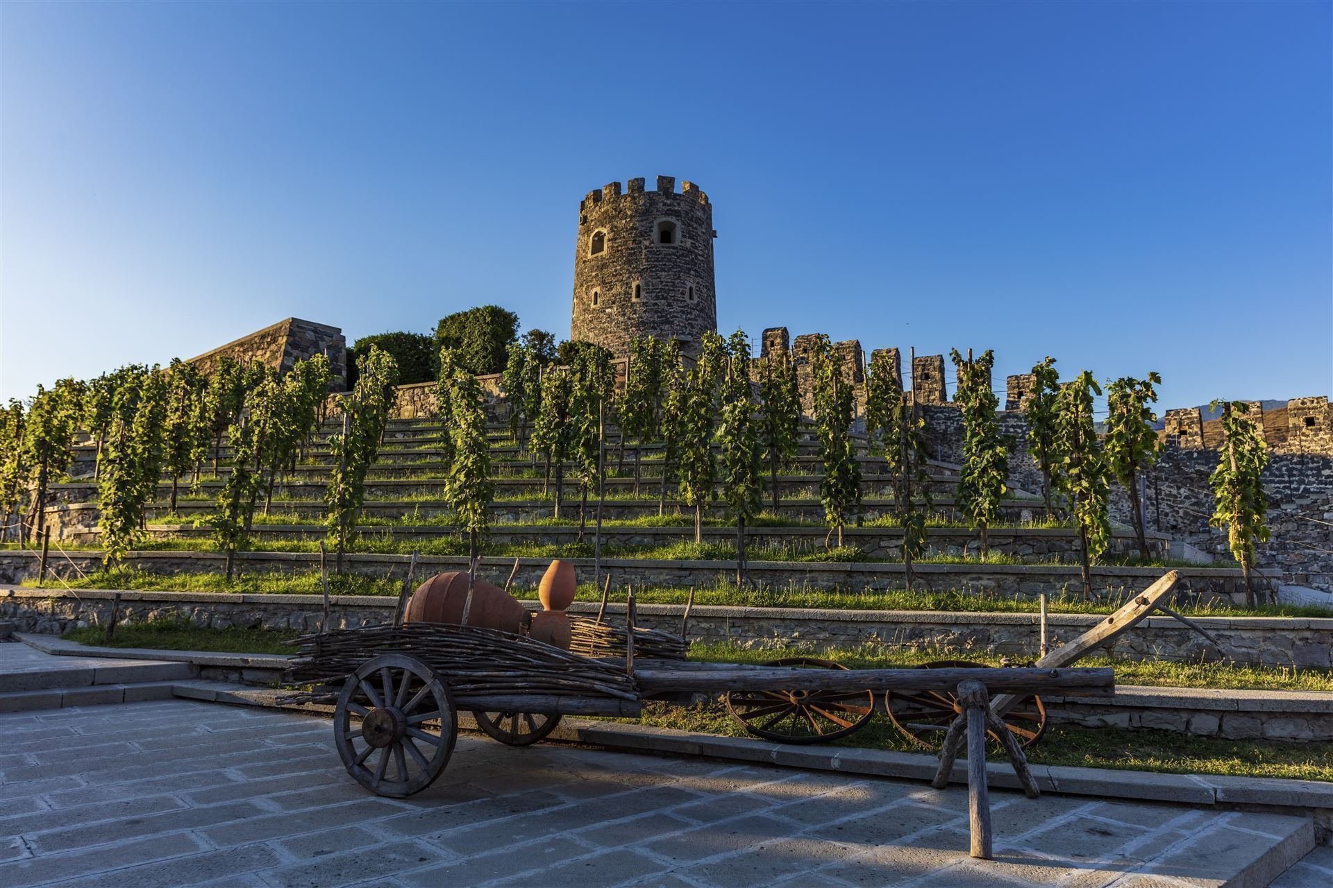 Weinberg vor der Festung Rabati
