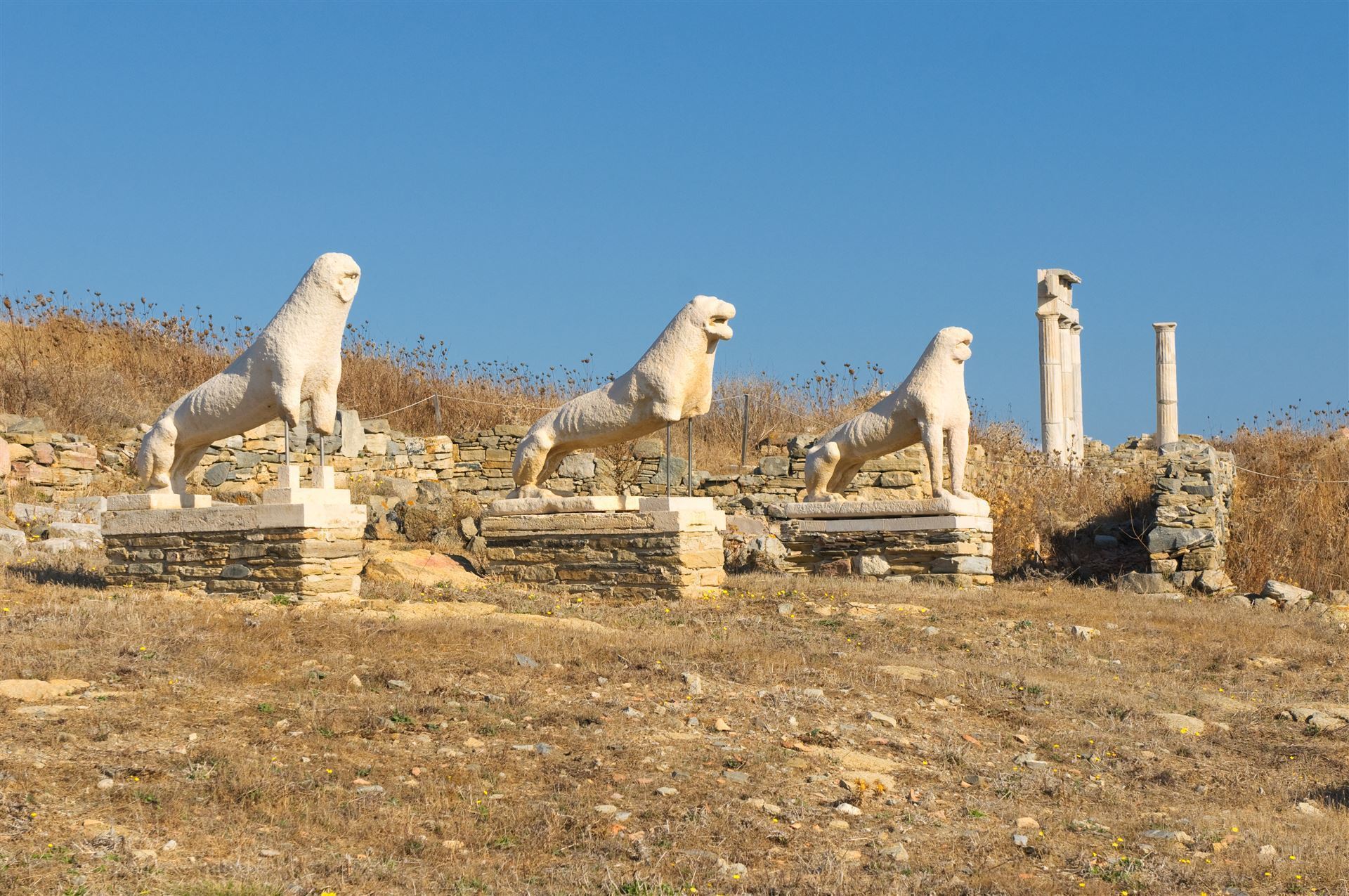 Kykladen Insel Delos Terasse der Löwen