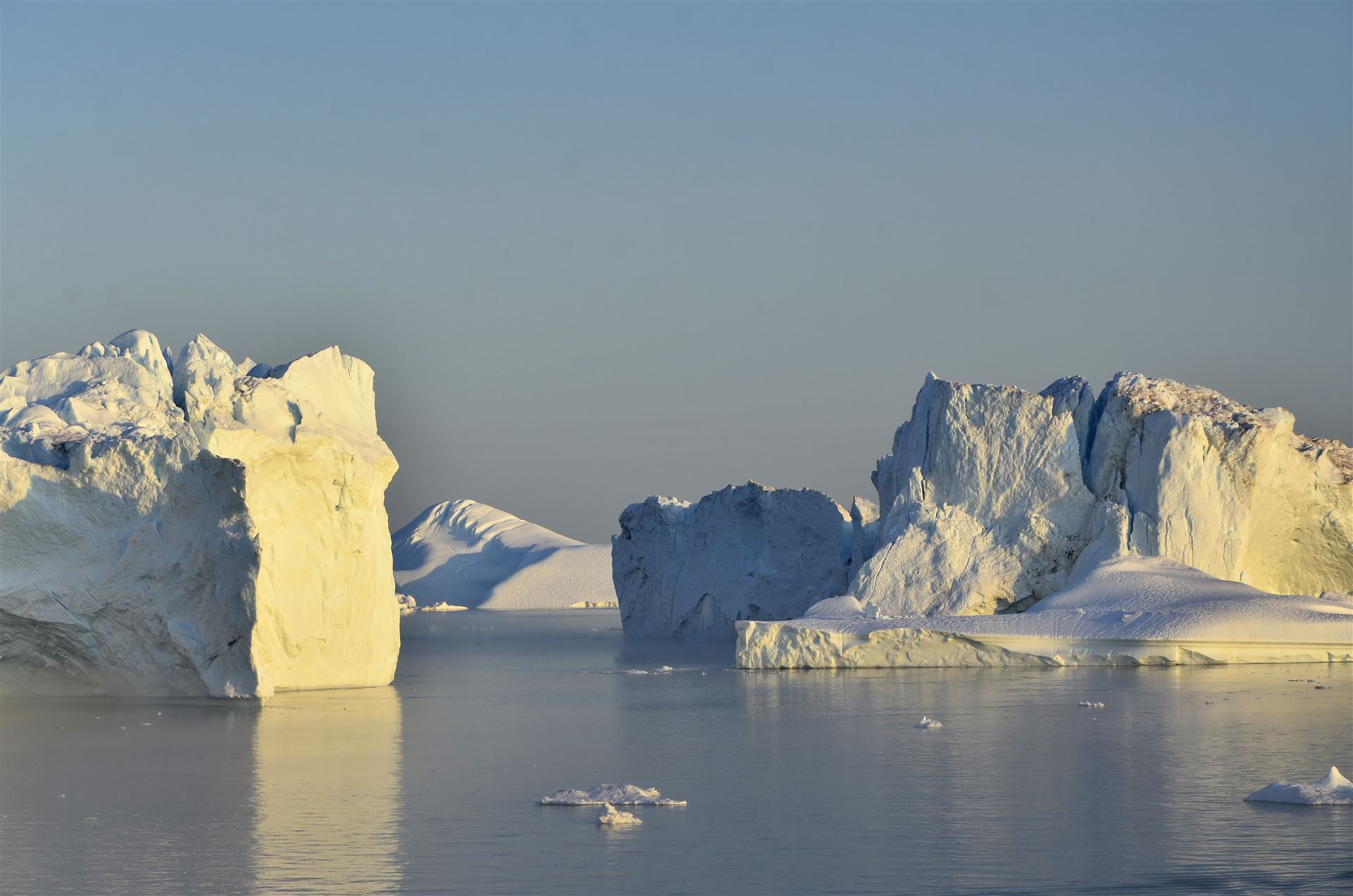 Eisberge in der Abendsonne