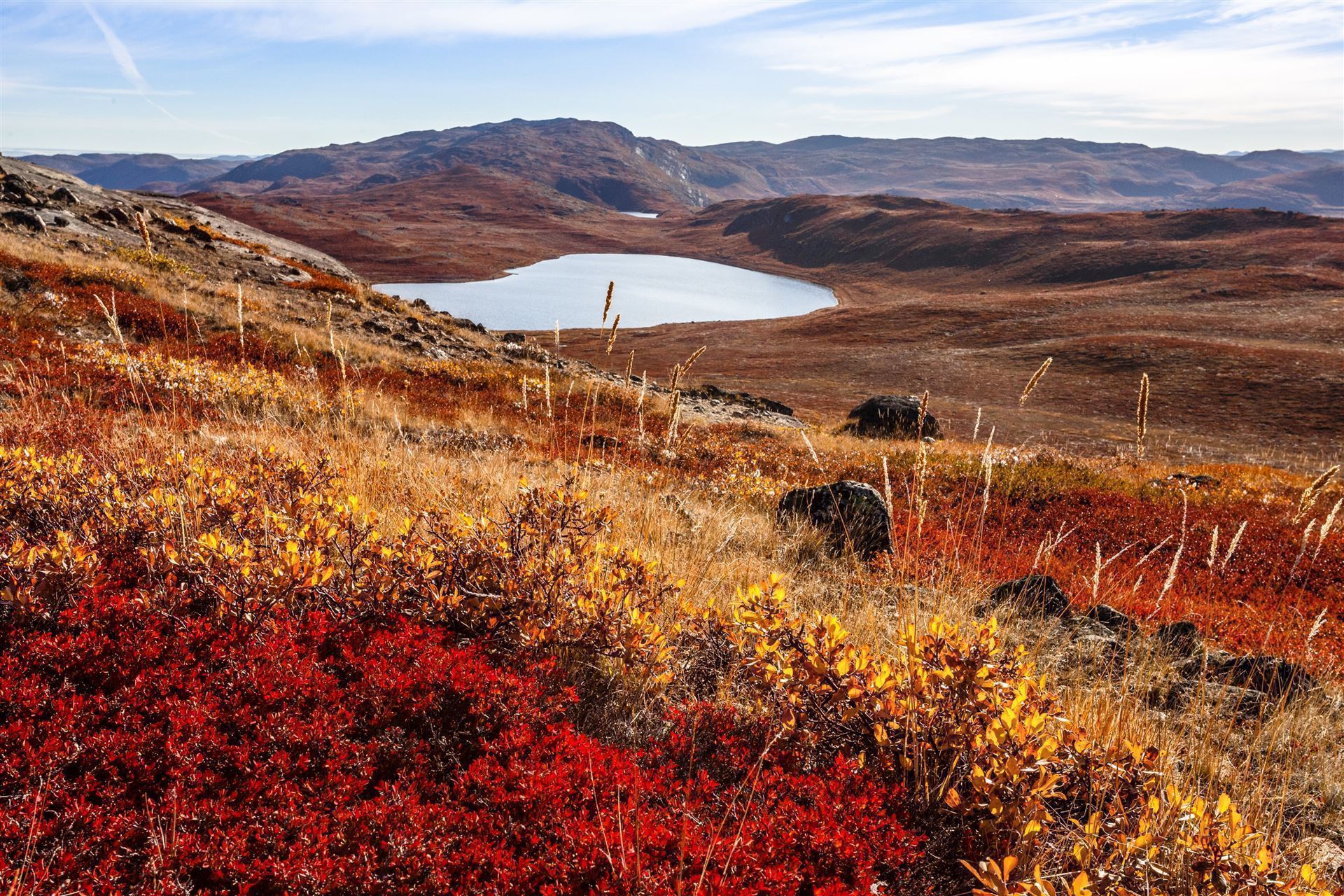 Tundralandschaft bei Kangerlussuaq