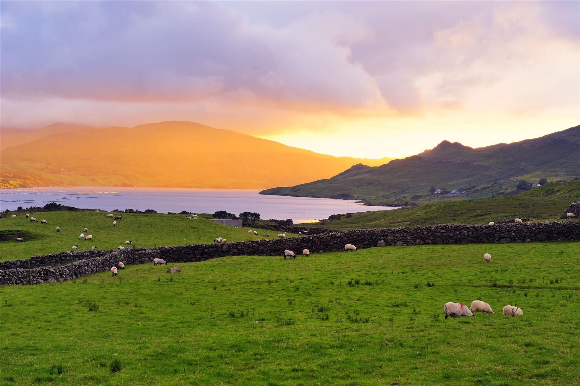 Killary Fjord