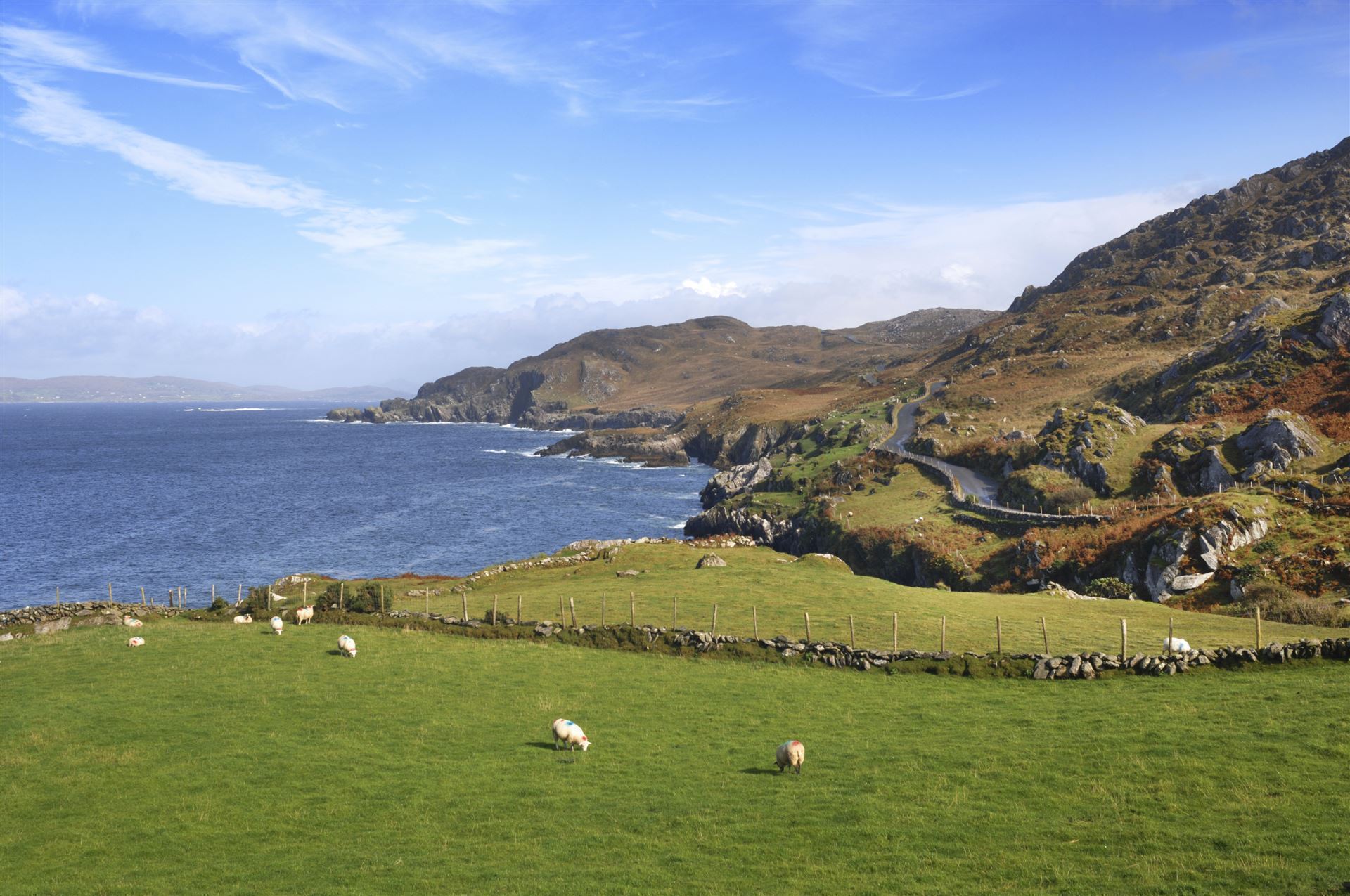 Impressionen aus dem County Cork