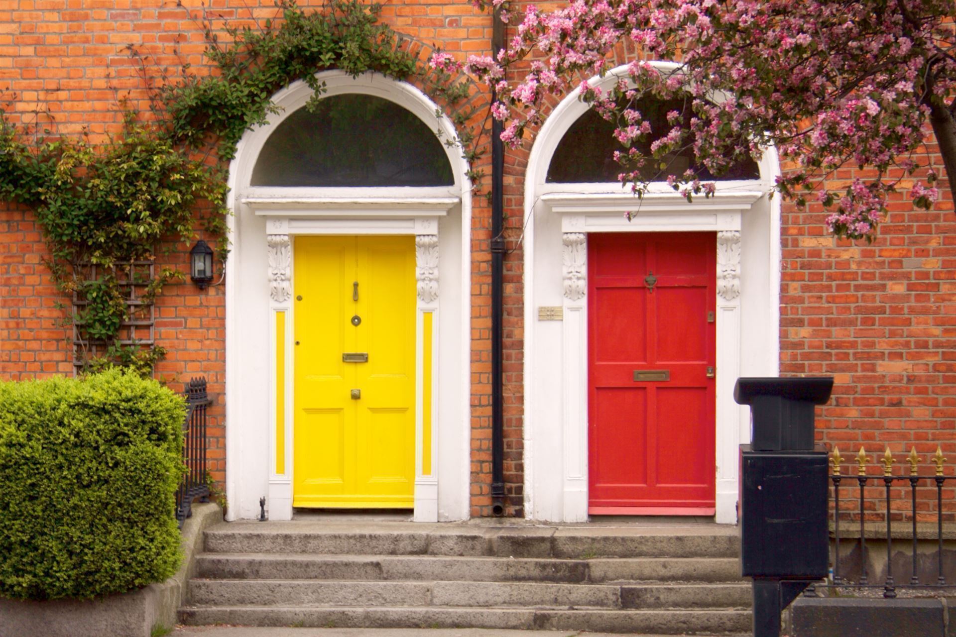 Bunte Türen in Dublin
