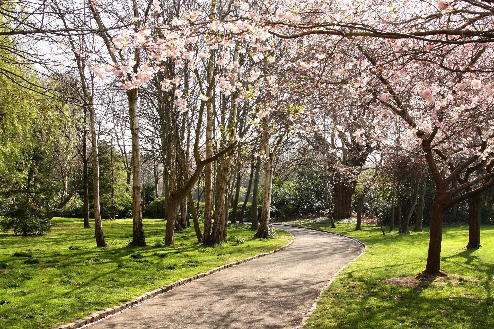 Frühlingserwachen im Merrion Square Dublin