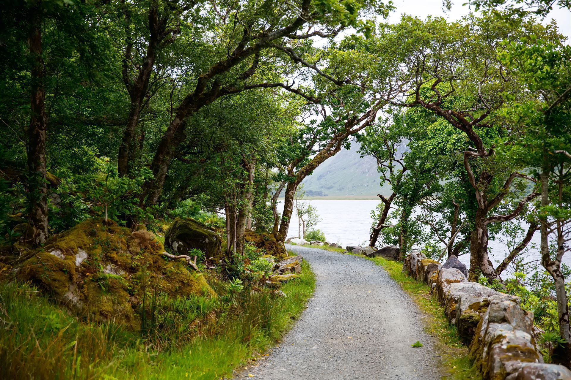 Wanderweg im Glenveagh Nationalpark