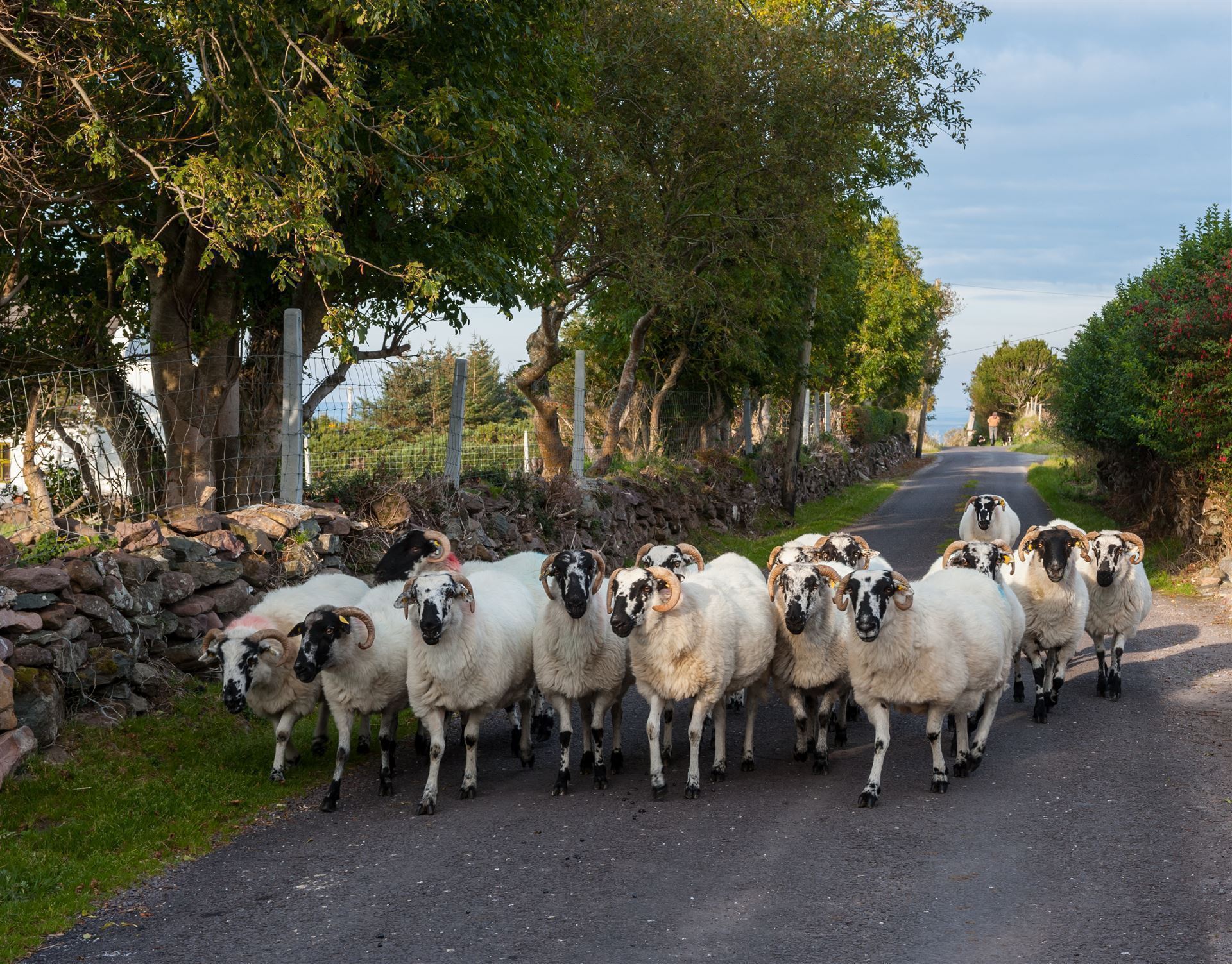 Impressionen aus Irland