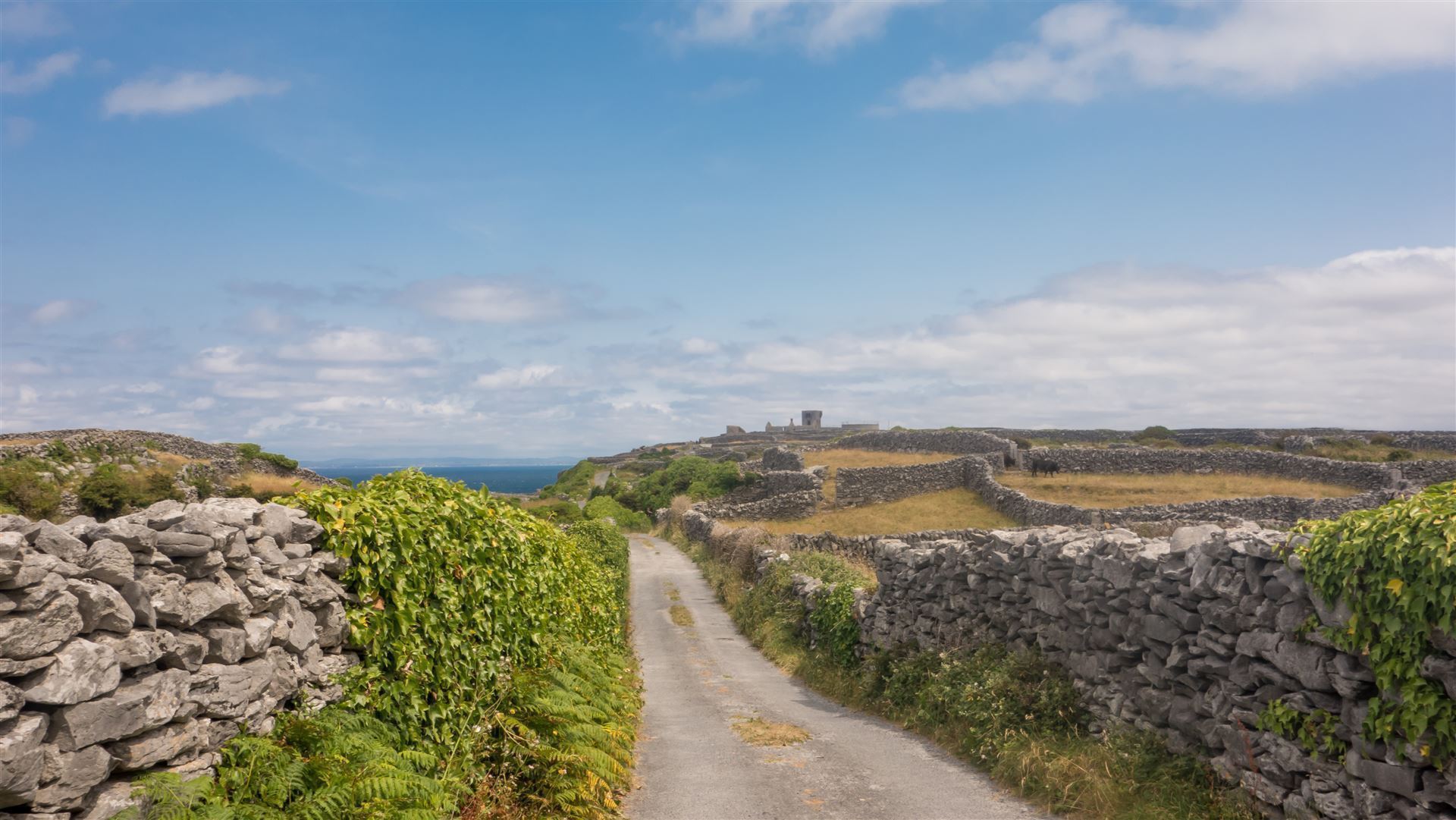 Ruhige Straße auf den Aran Inseln