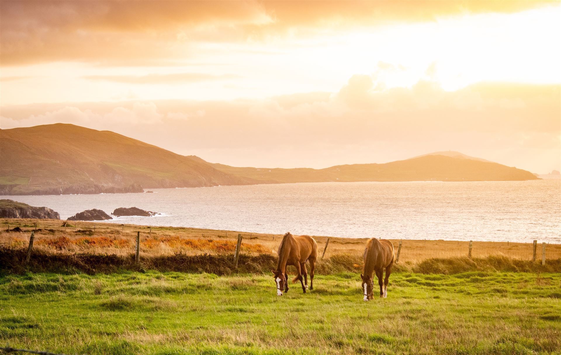 Impressionen aus dem County Kerry