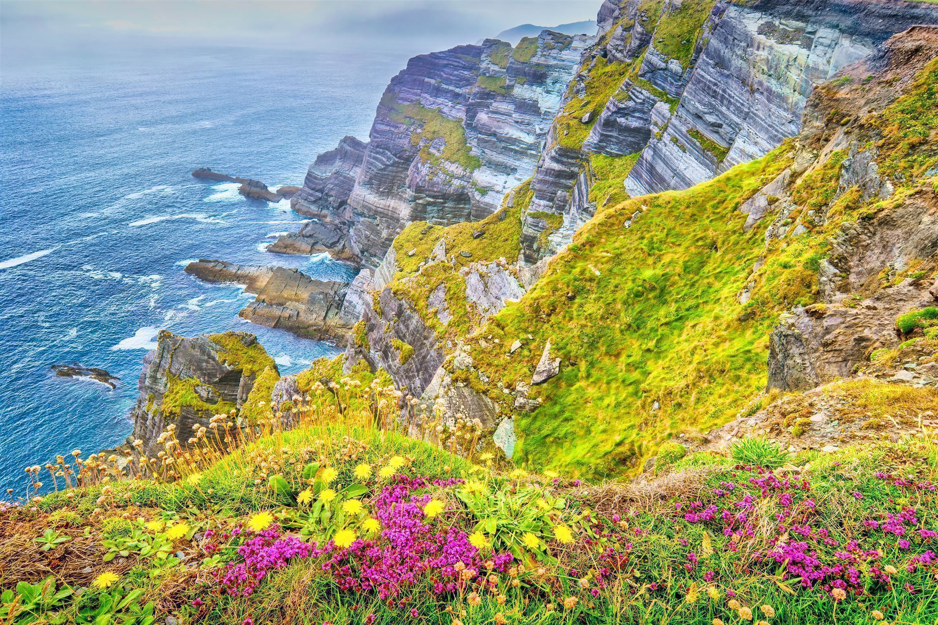 Klippen am Ring of Kerry