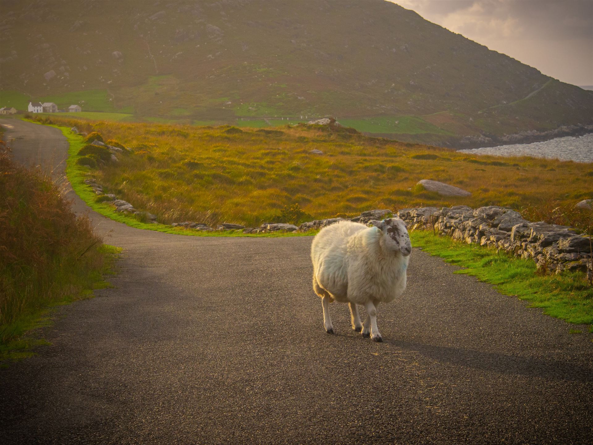 Impressionen aus dem County Kerry