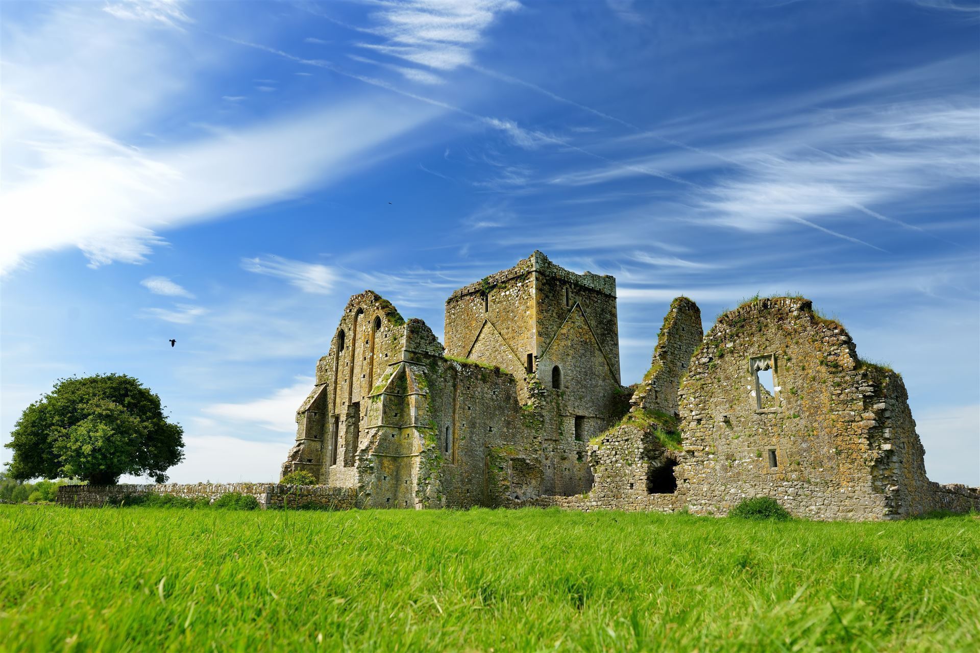 Hore Abbey