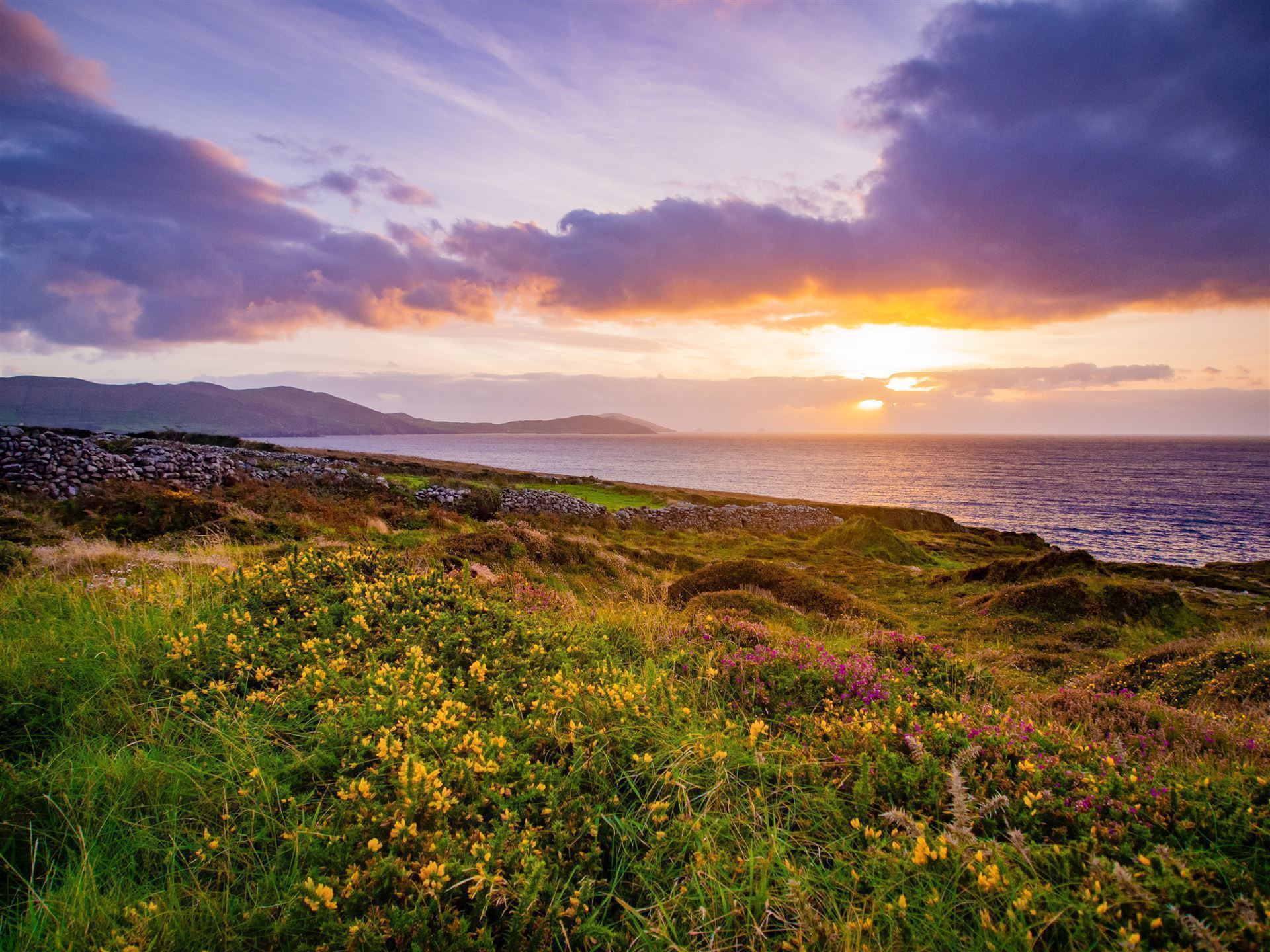 Impressionen vom Ring of Kerry