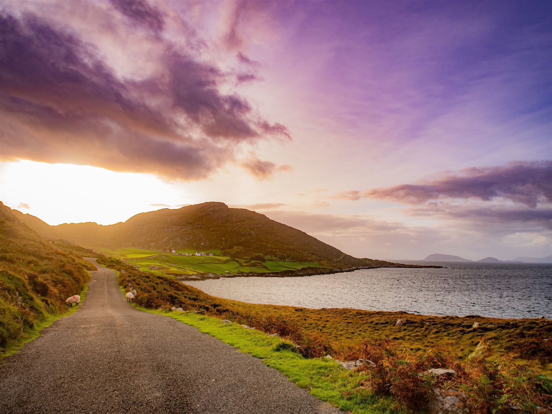 Impressionen vom Ring of Kerry