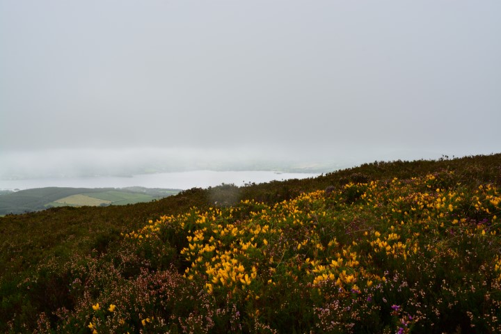 Blick von Tountinna, Lough Derg, Irland, Nahe Nenagh