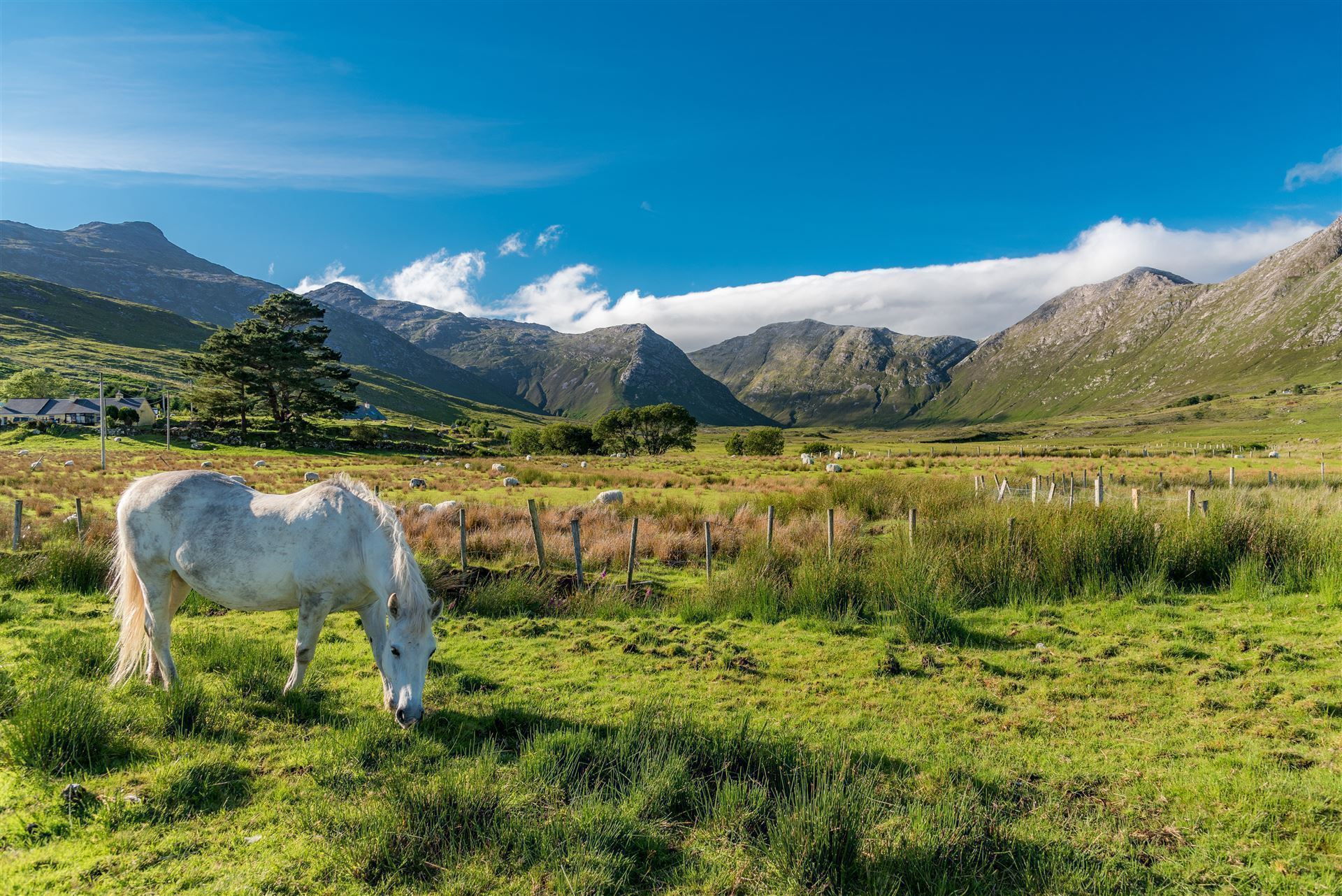 Impressionen aus Connemara