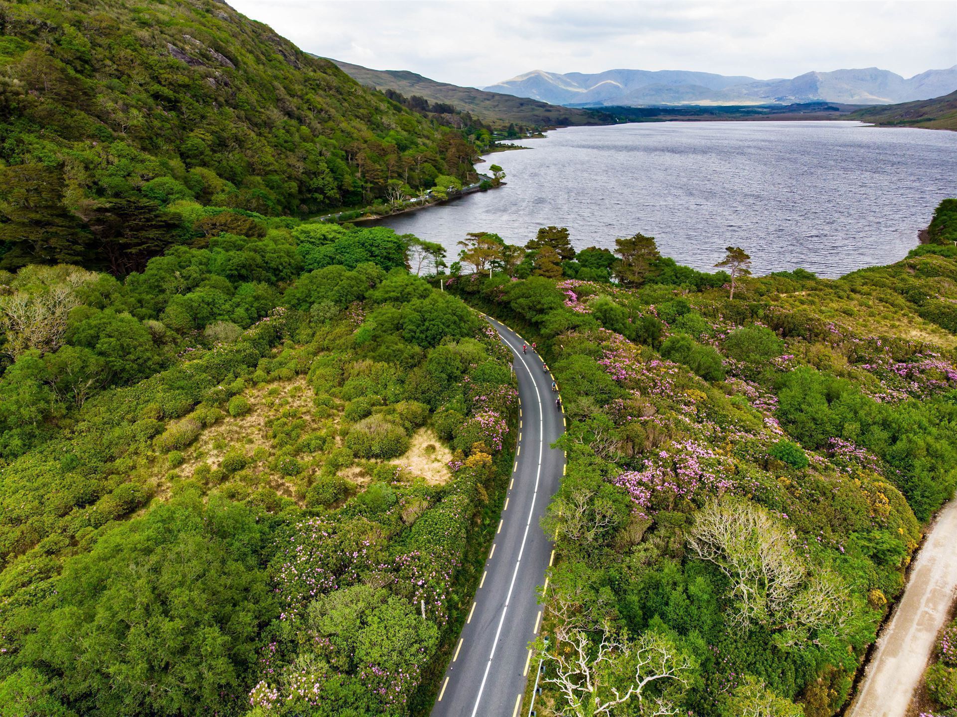 Impressionen aus dem County Galway