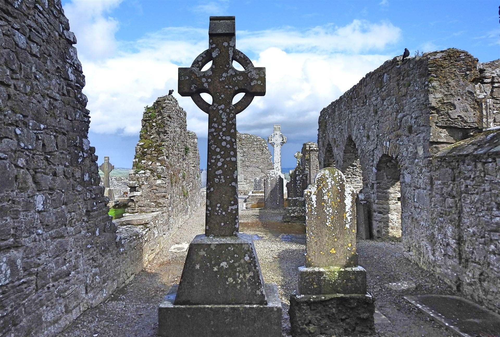Slane Abbey 