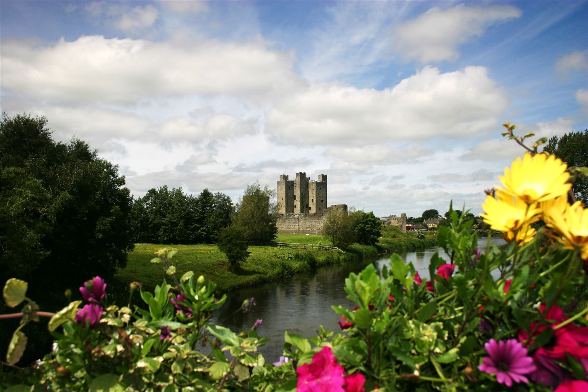 Blumiger Blick auf das Trim Castle