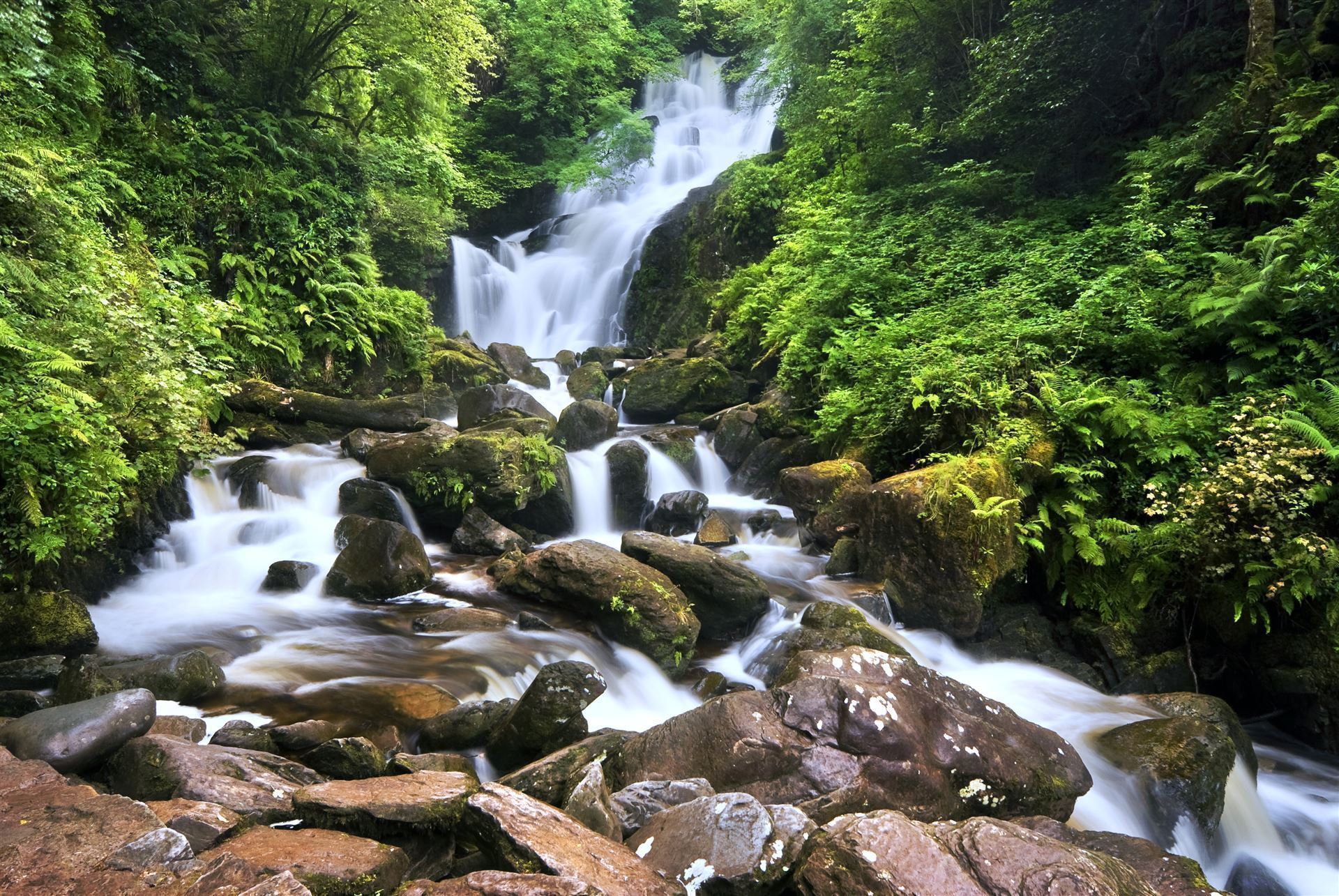 Torc Waterfall im Killarney Nationalpark