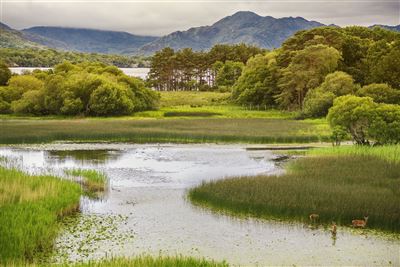 Impressionen aus dem Killarney Nationalpark