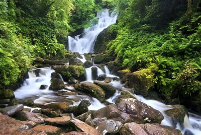 Torc Waterfall im Killarney Nationalpark