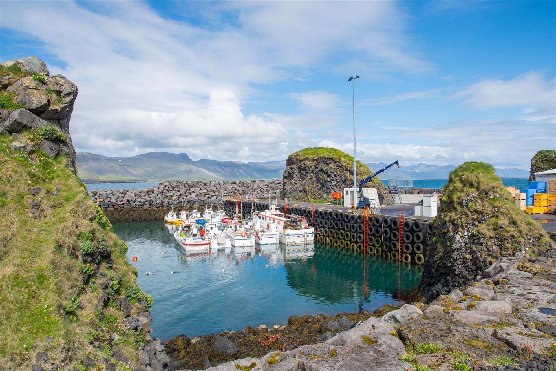 Island_Arnarstapi_Hafen