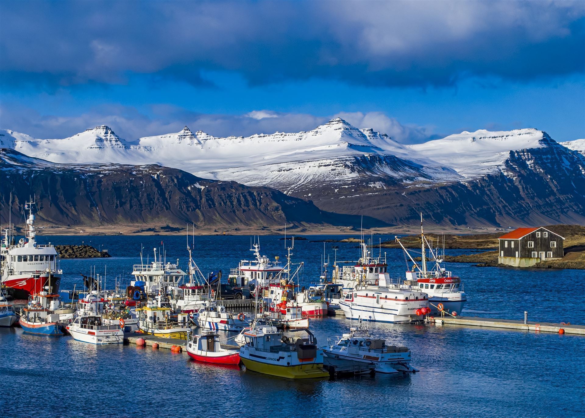 Island_Höfn_Hafen