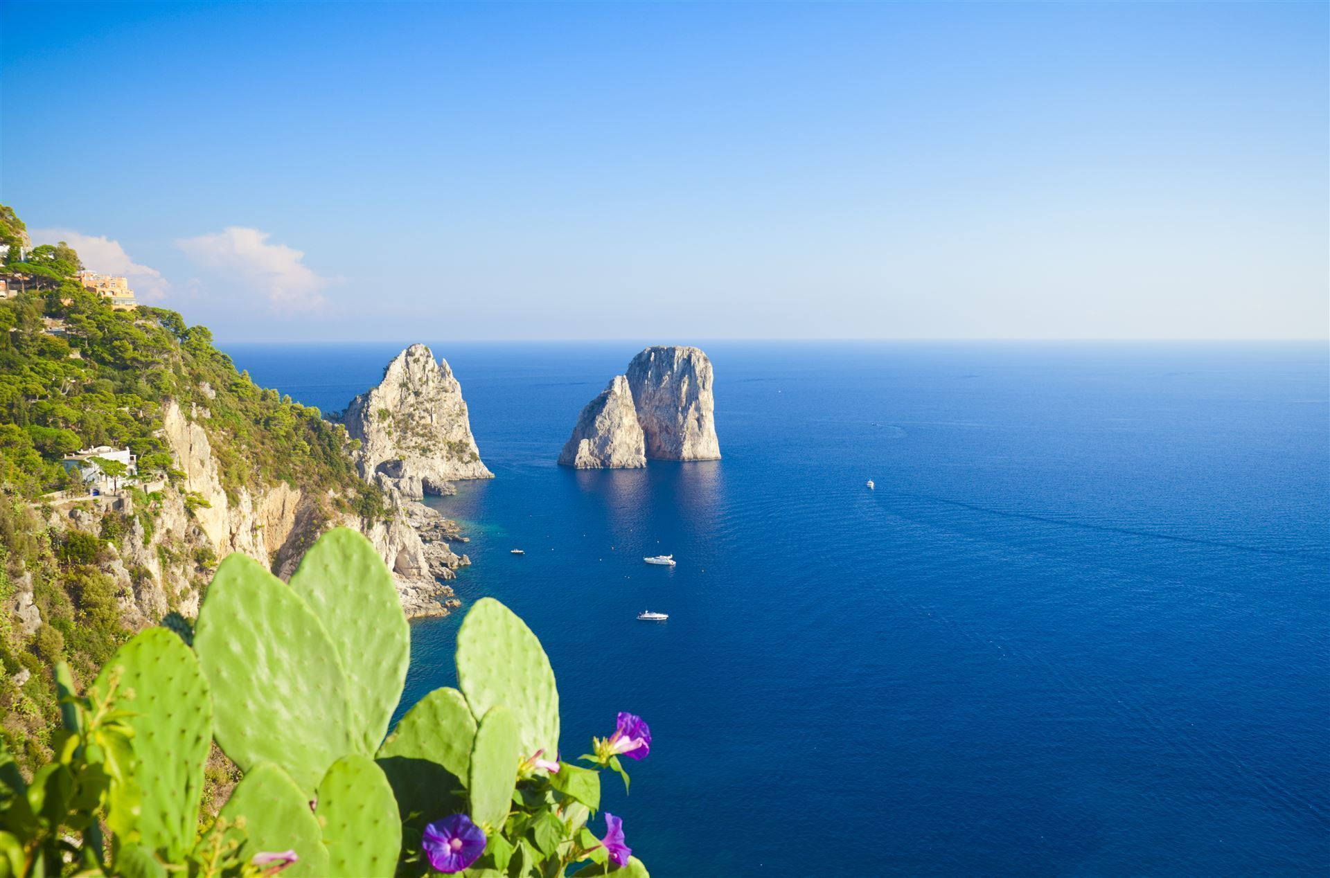 Capri Faraglioni Felsen