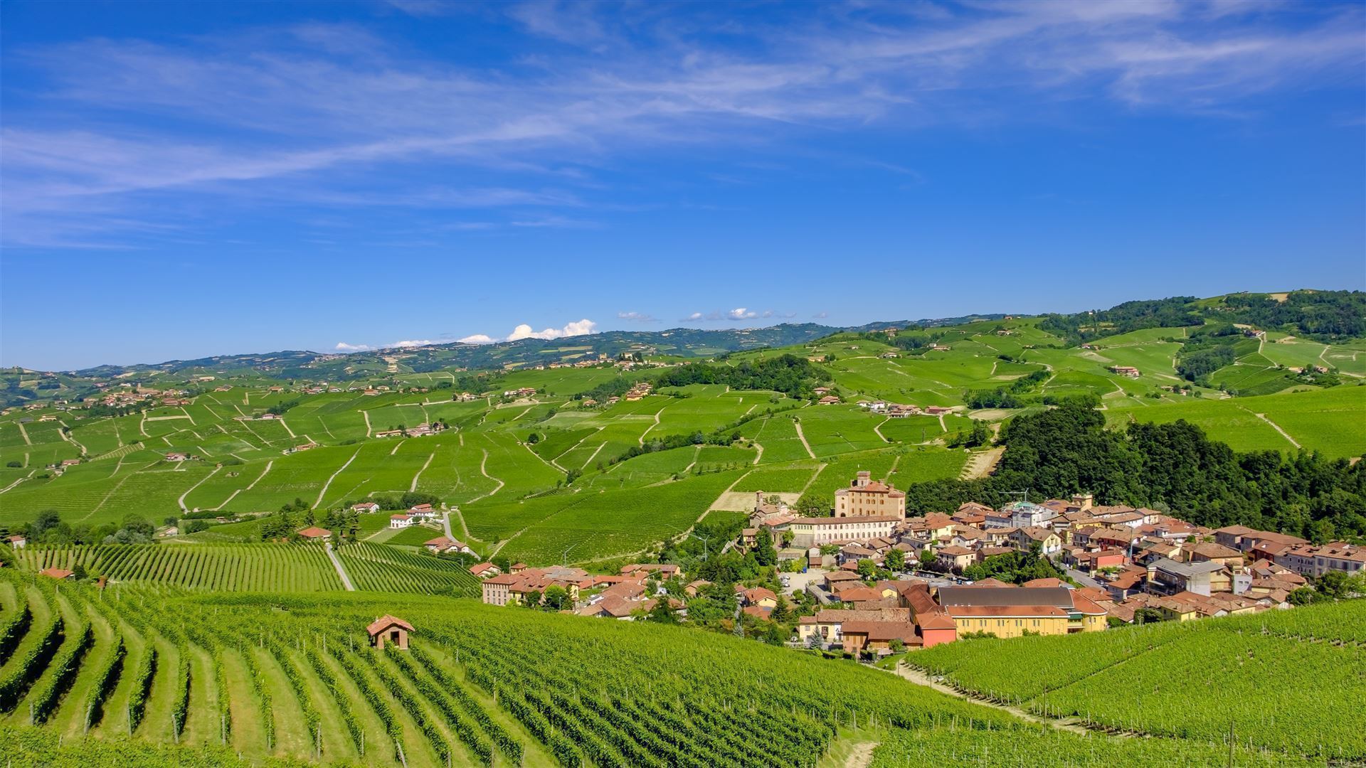 Italien Piemont Barolo