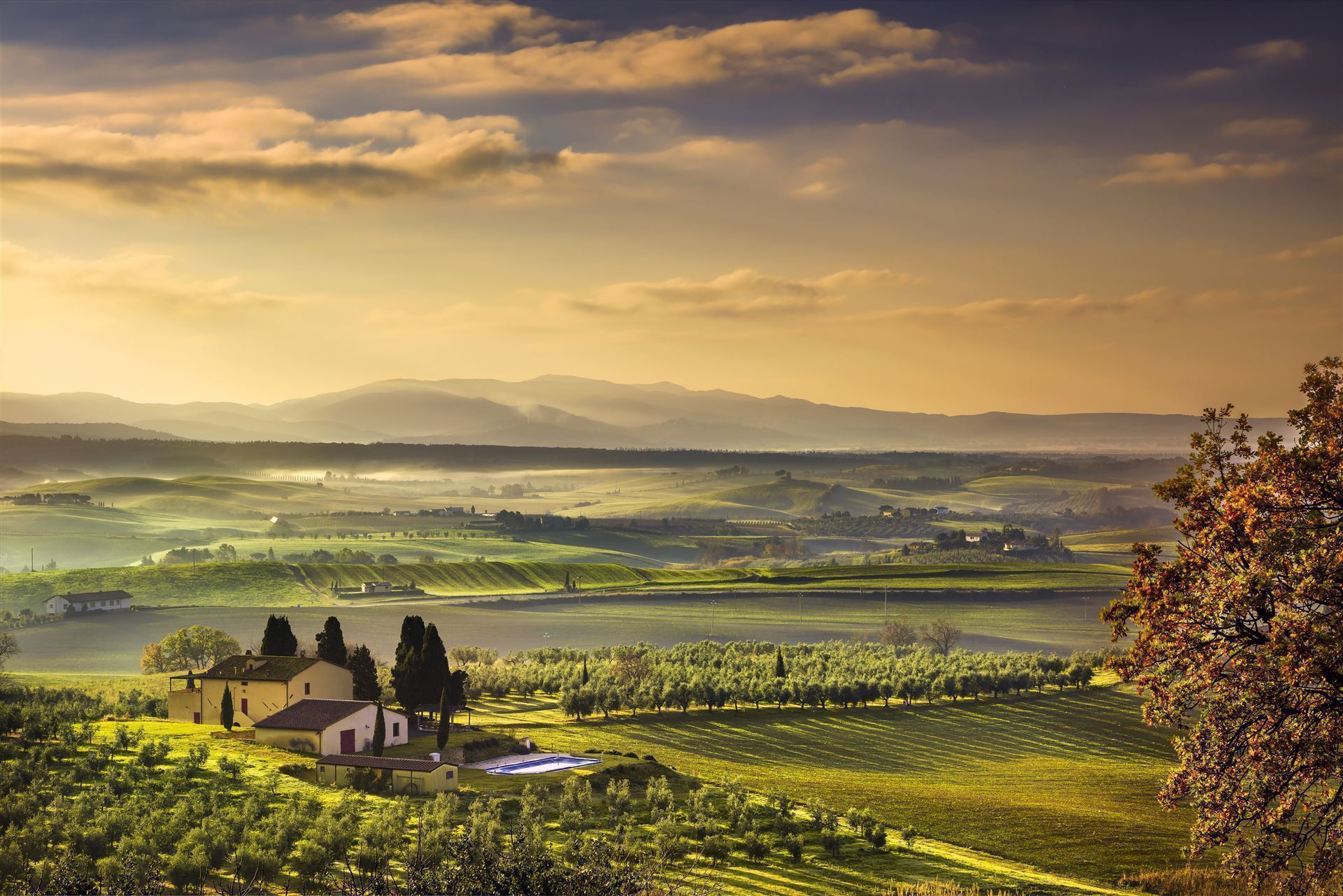 Weinberge