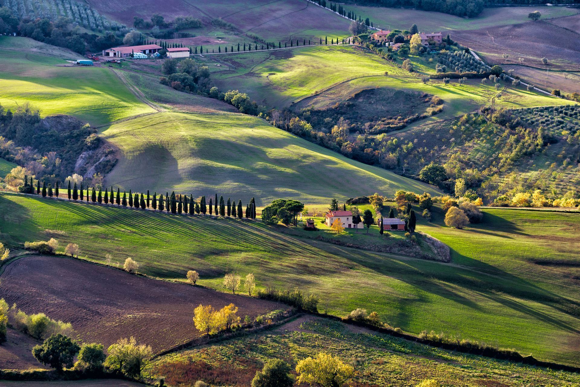 Italien Toskana Montepulciano Weinberge